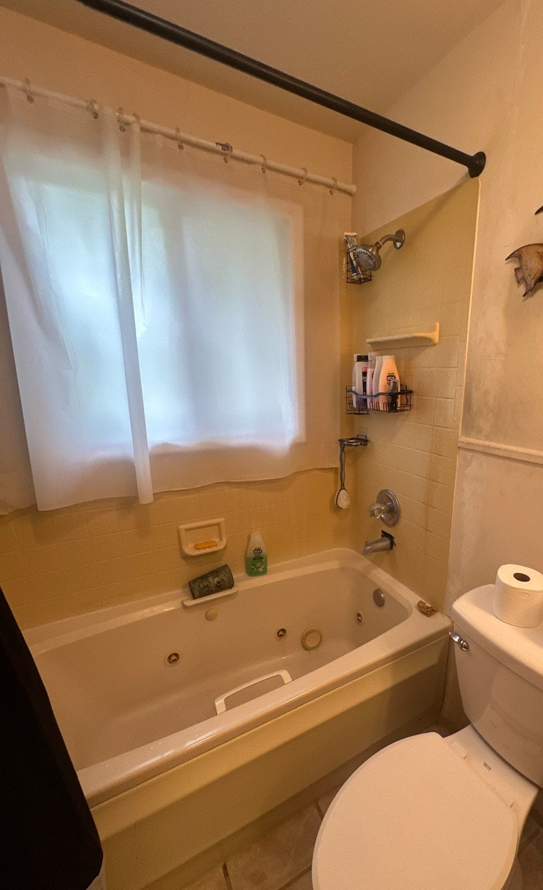 Before Bath Remodel