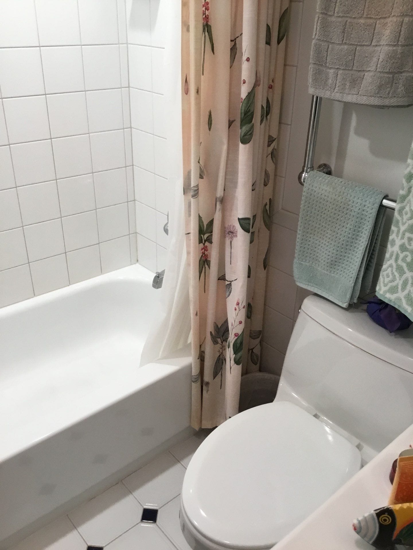 Before Bath Remodel