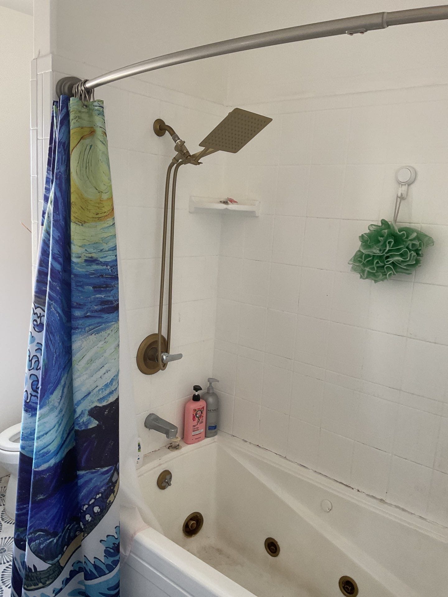 Before Bath Remodel