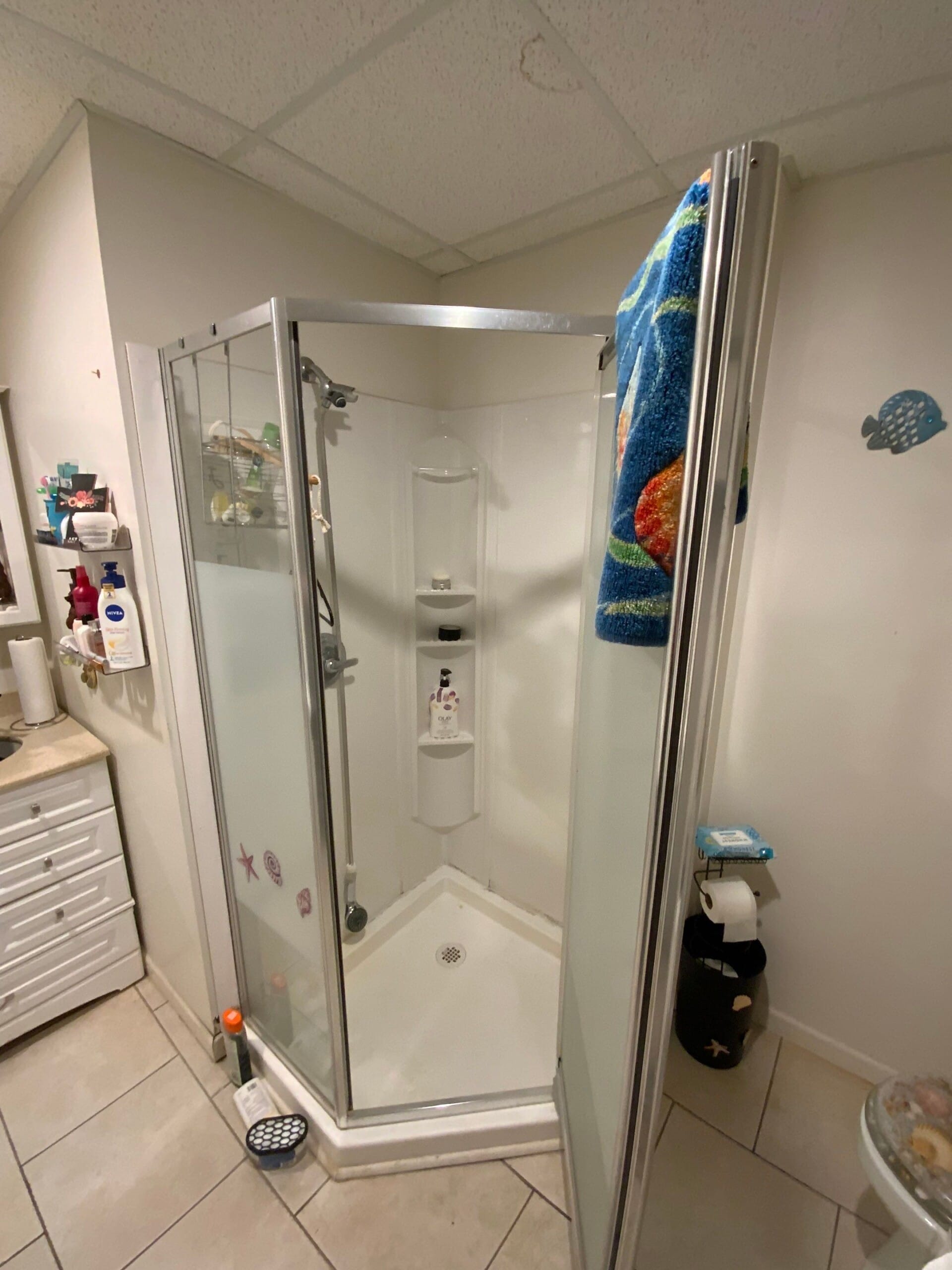 Before Bath Remodel