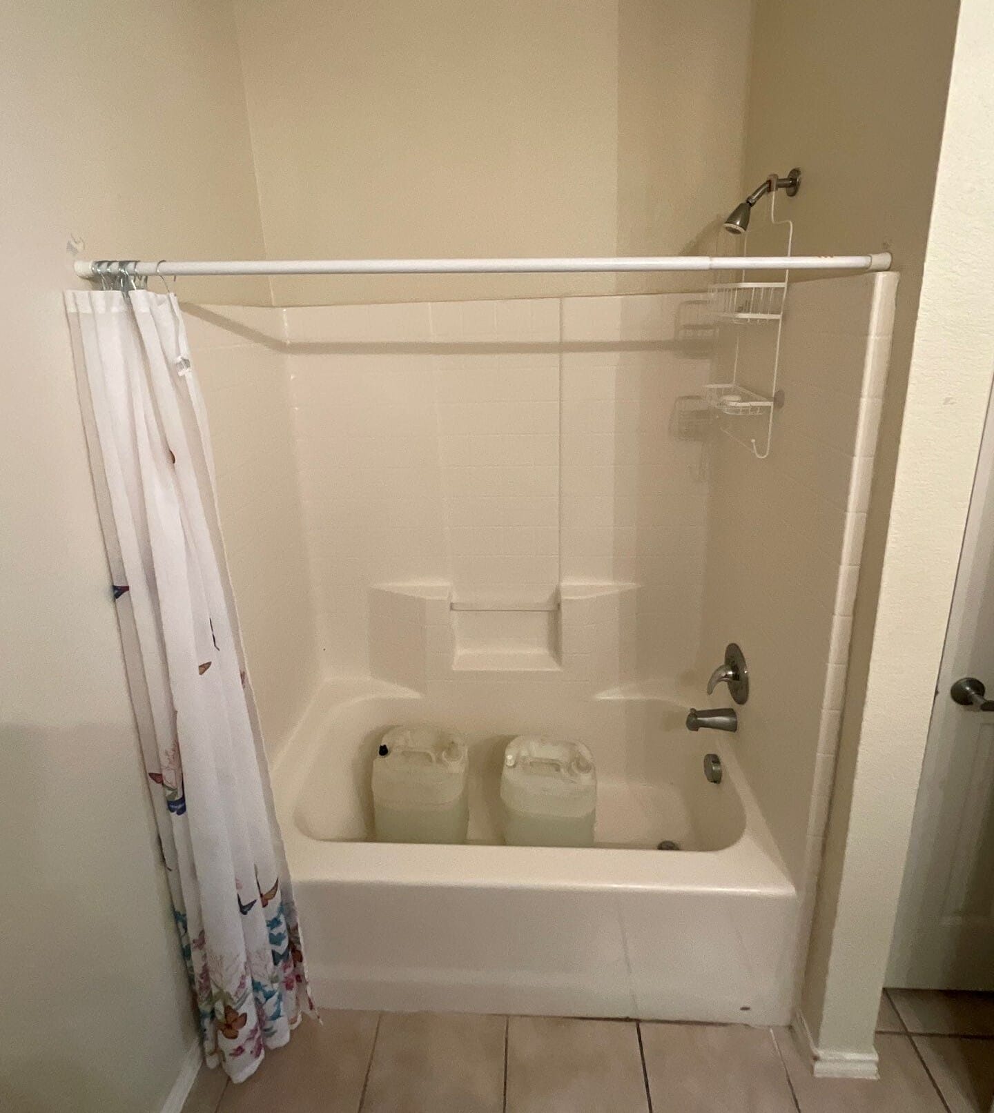 Before Bath Remodel