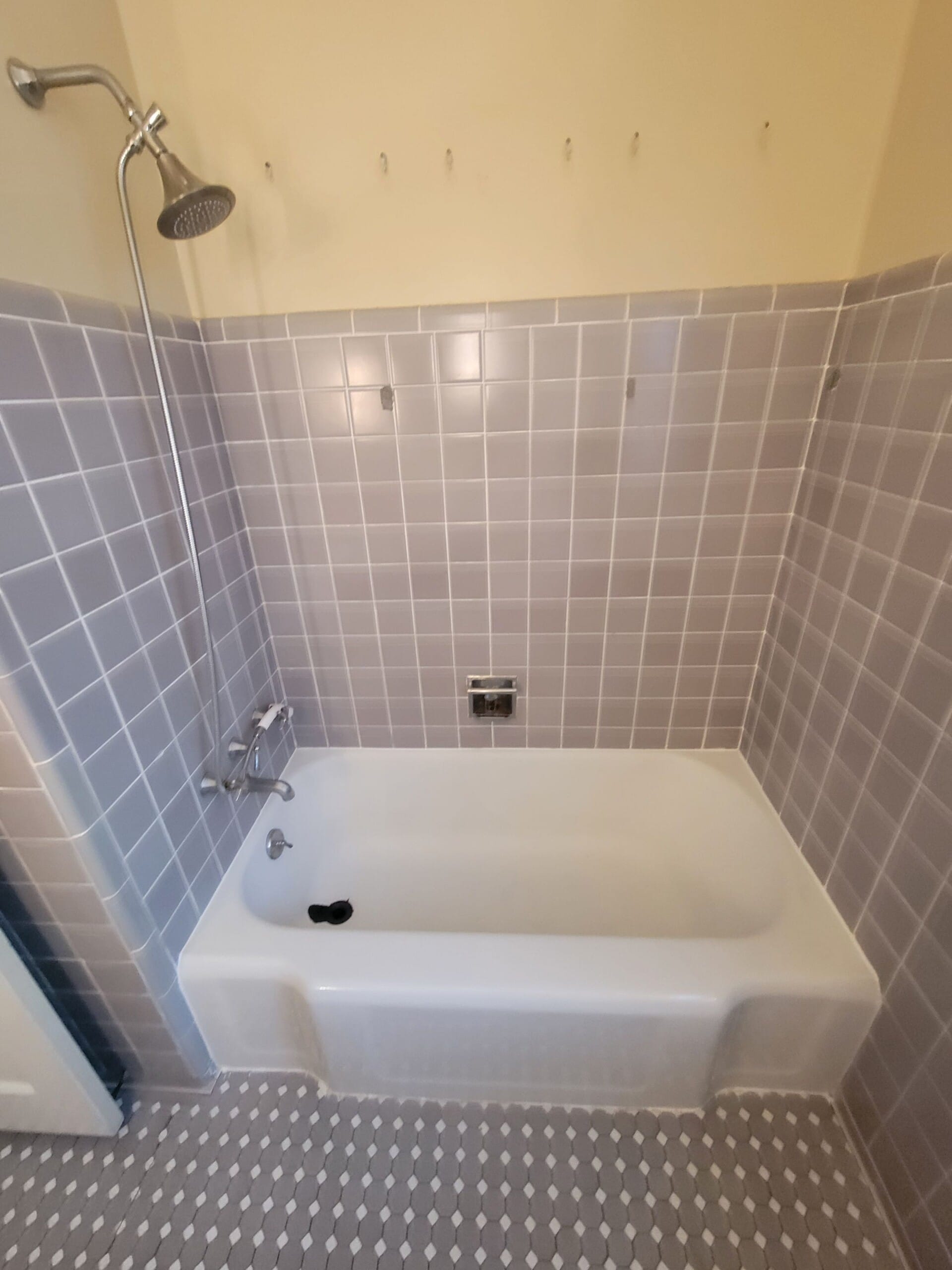 Before Bath Remodel
