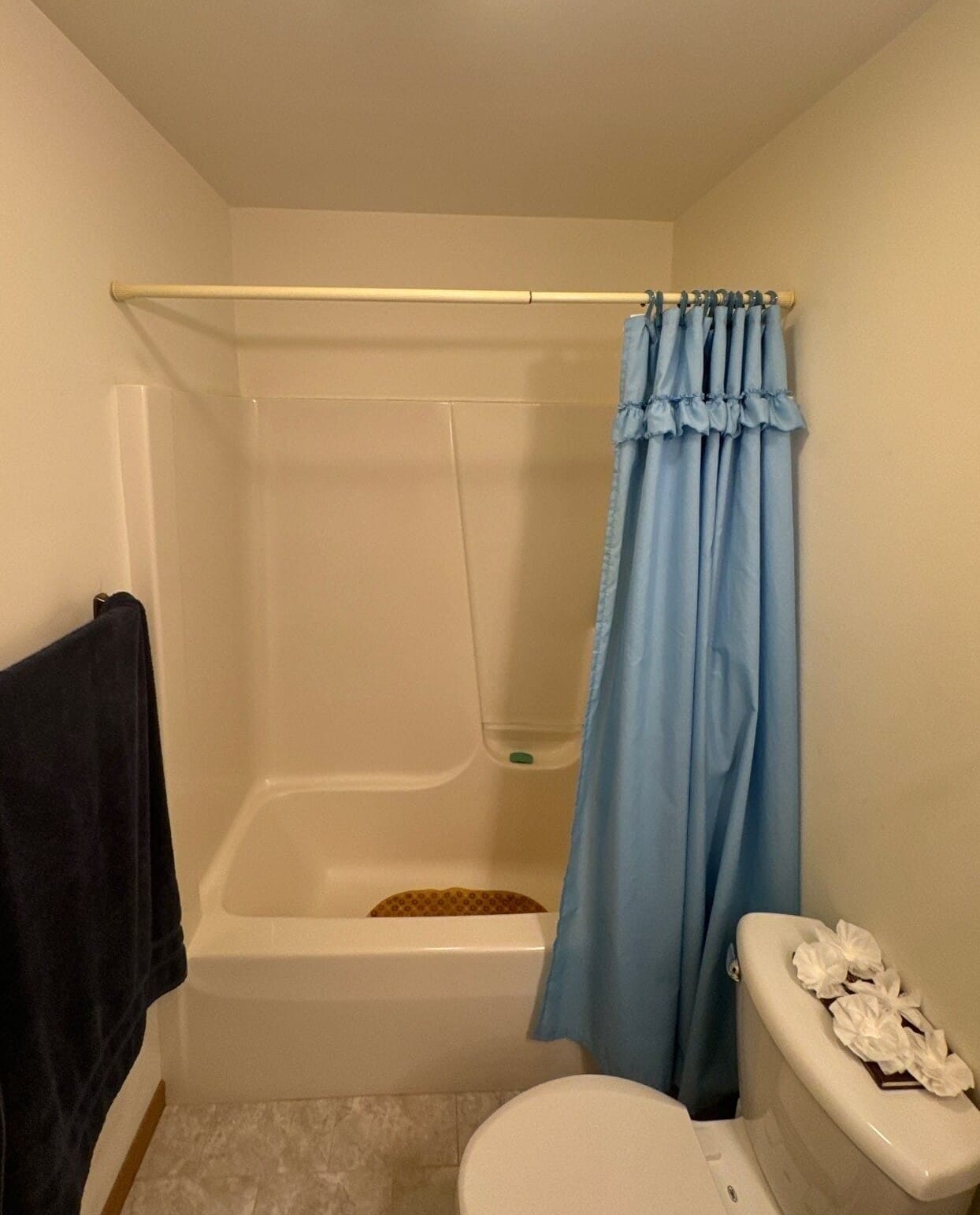 Before Bath Remodel