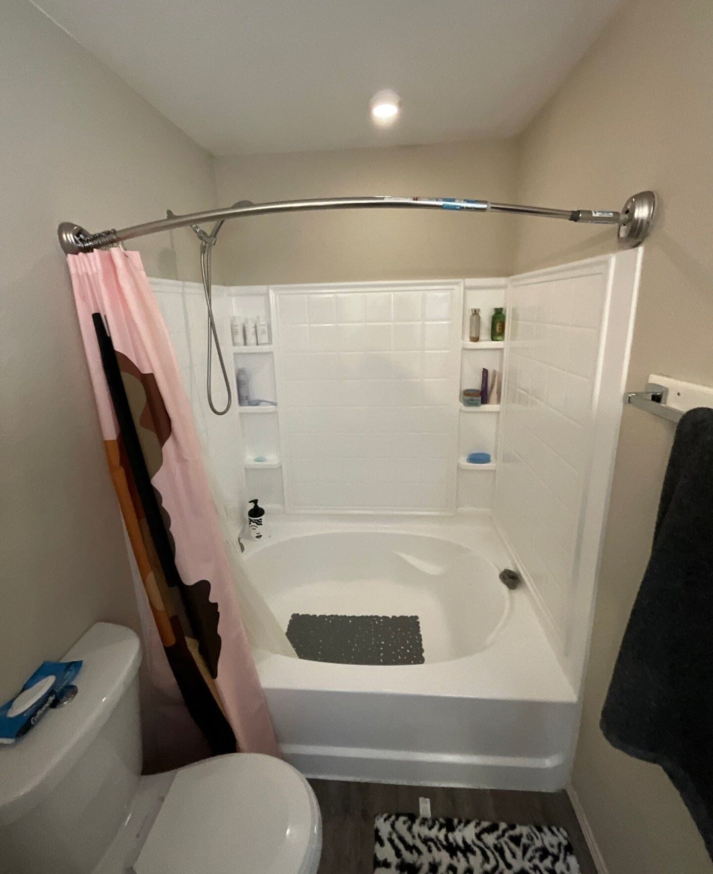 Before Bath Remodel