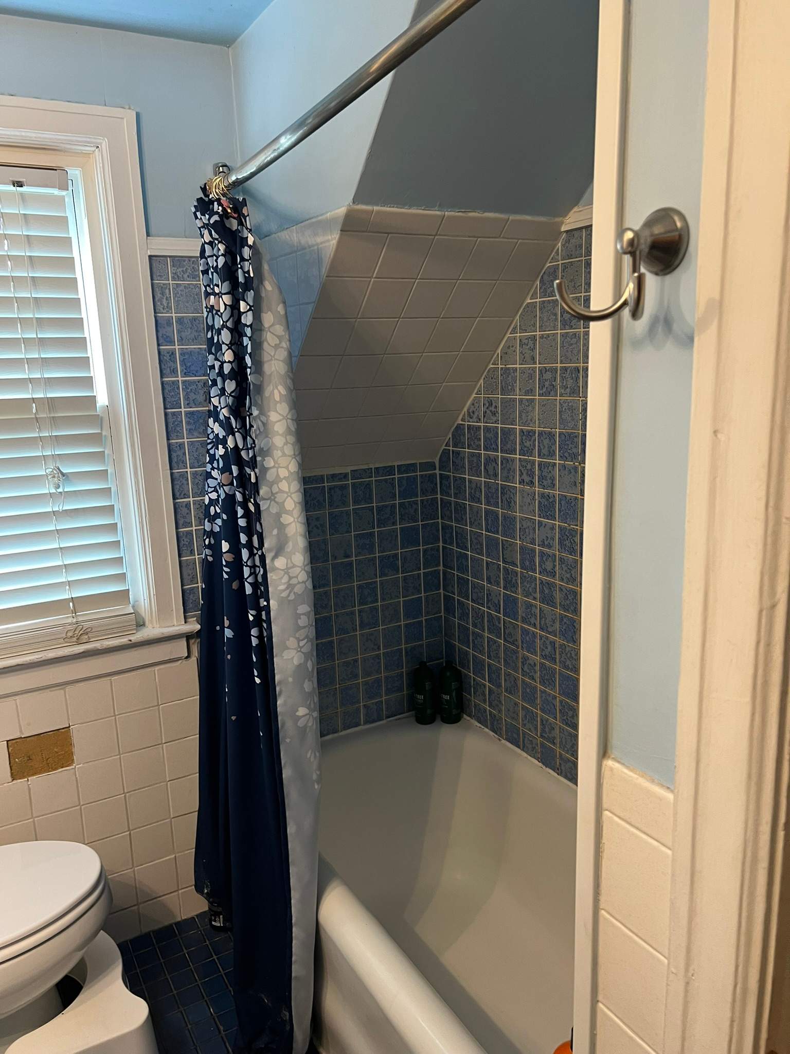 Before Bath Remodel