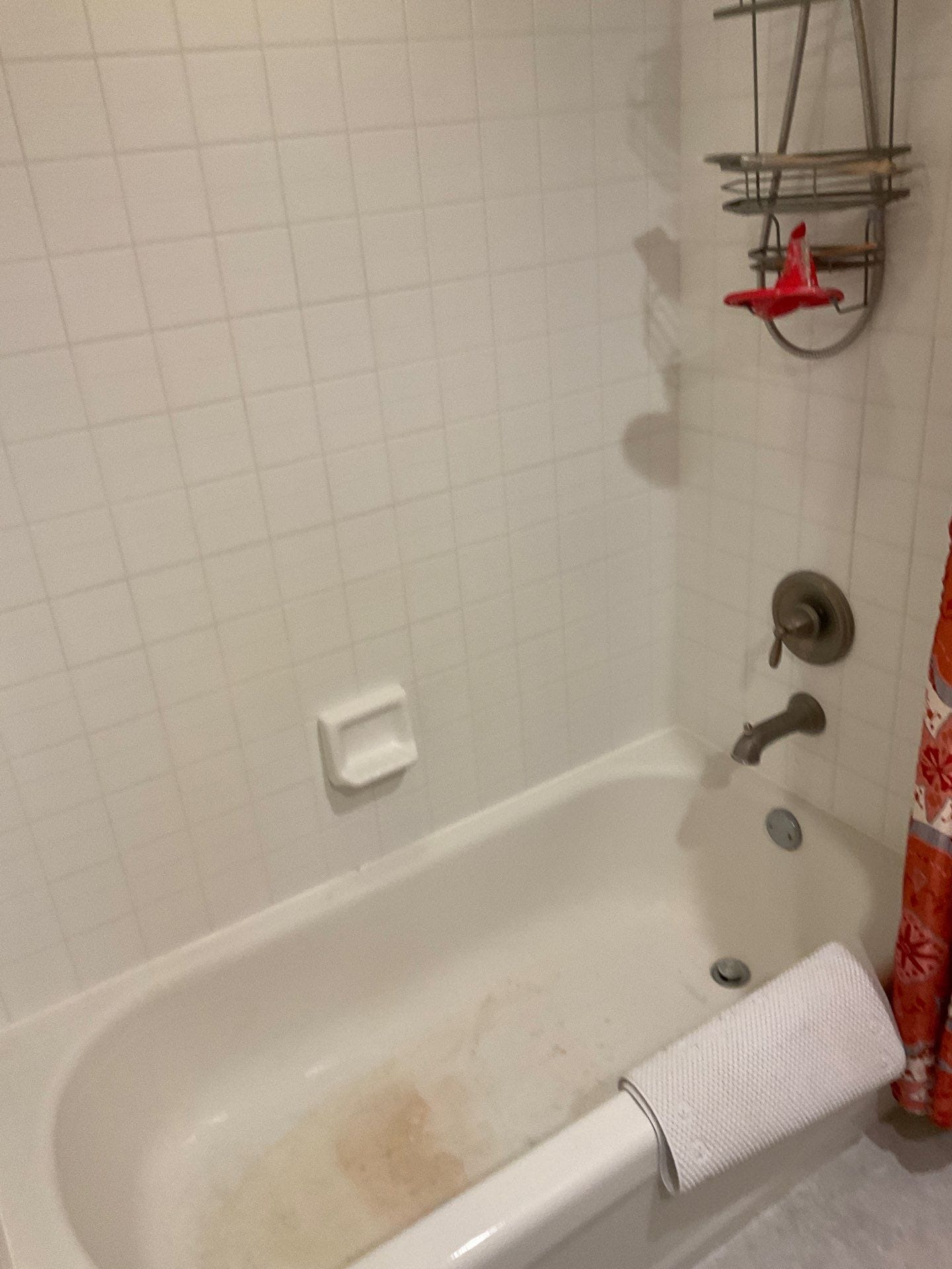Before Bath Remodel