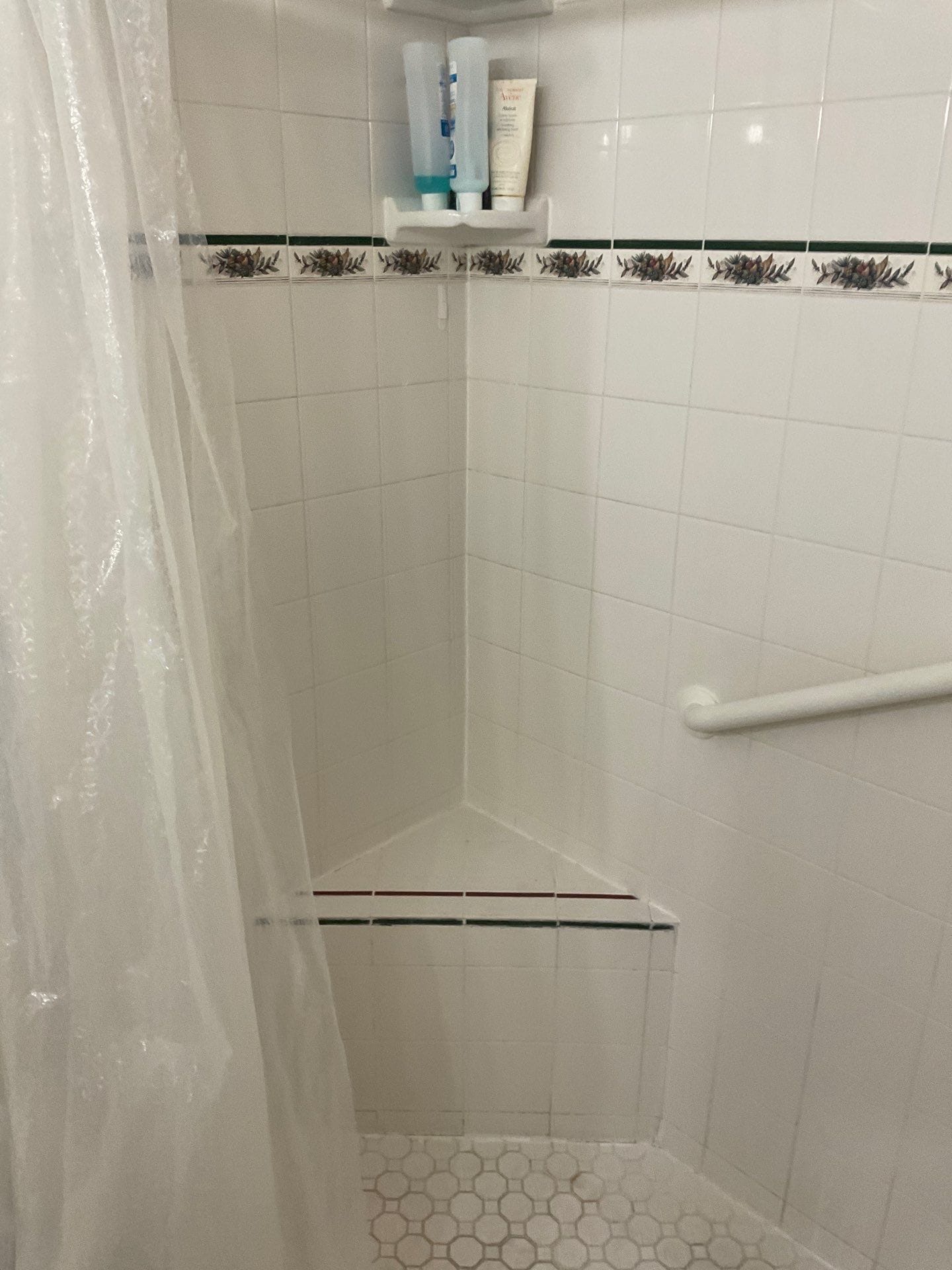 Before Bath Remodel