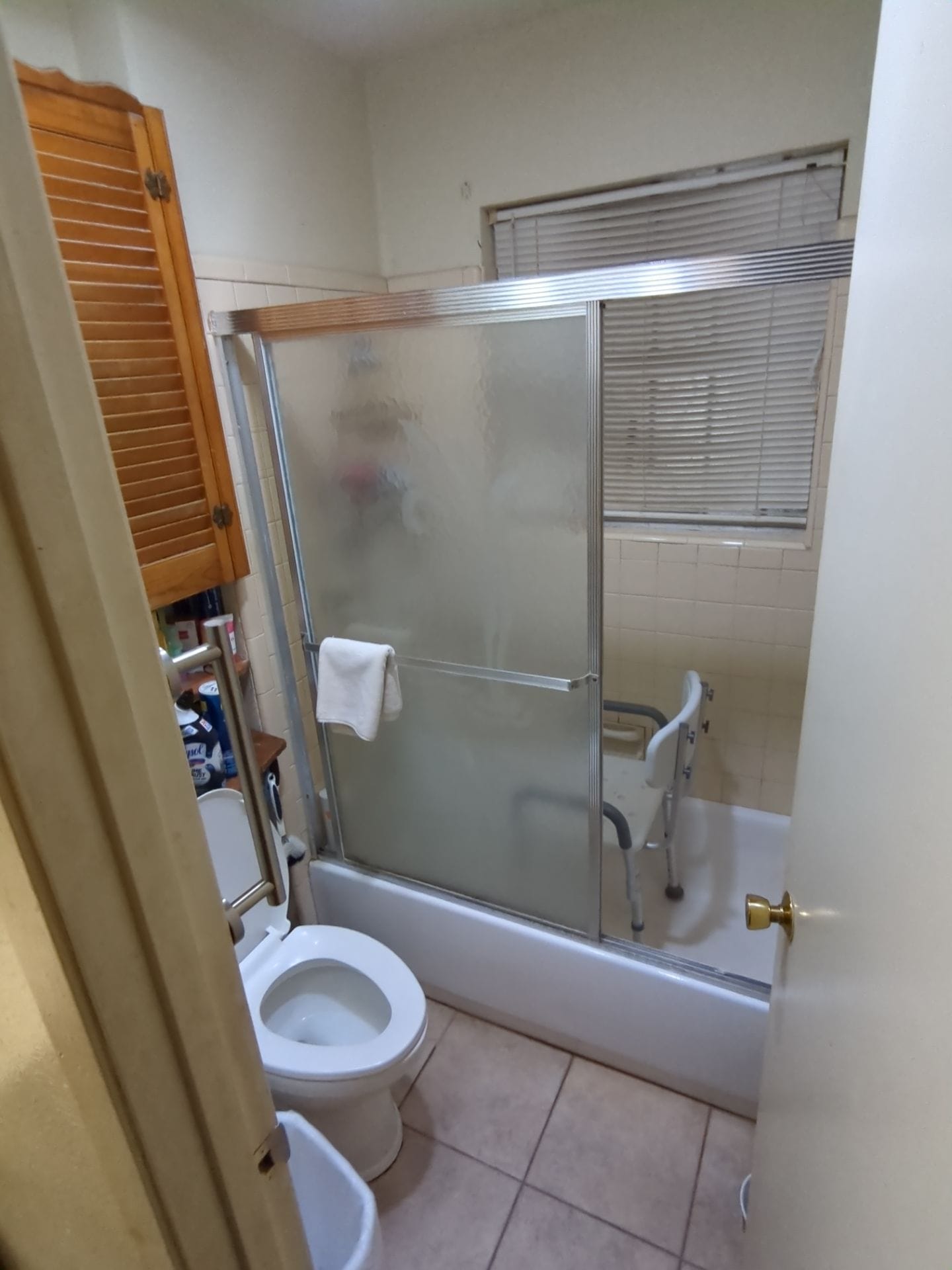 Before Bath Remodel