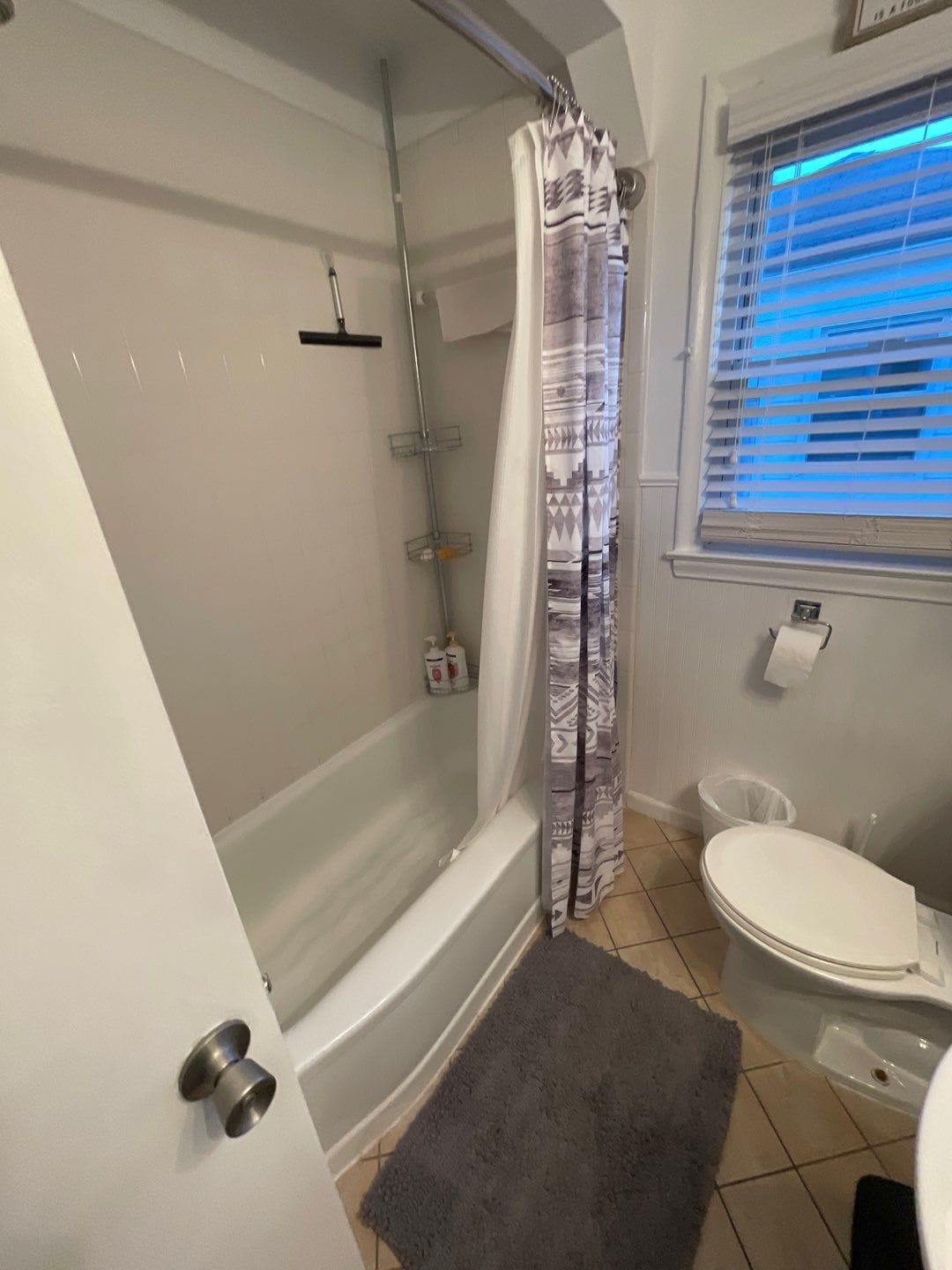 Before Bath Remodel
