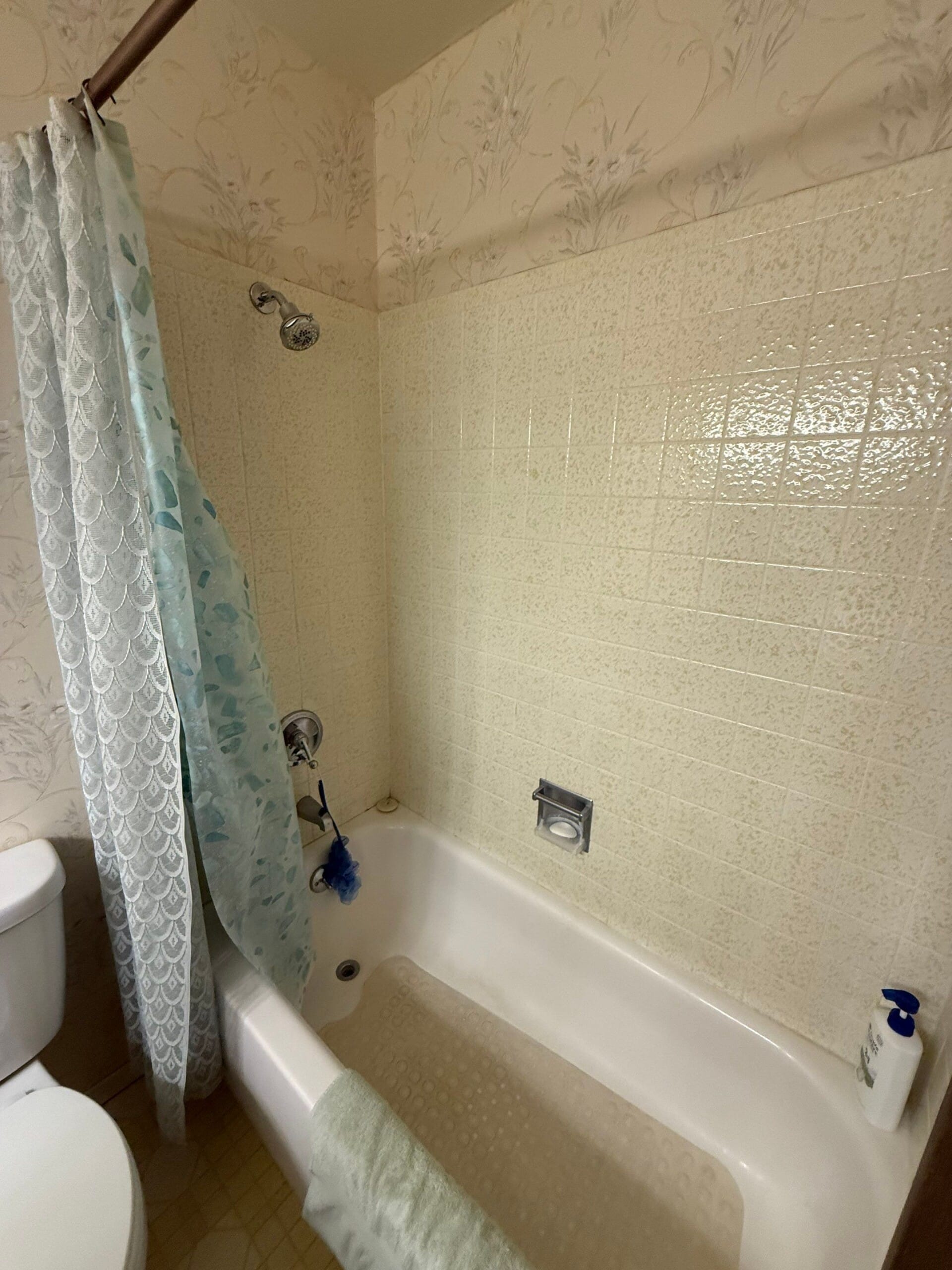 Before Bath Remodel