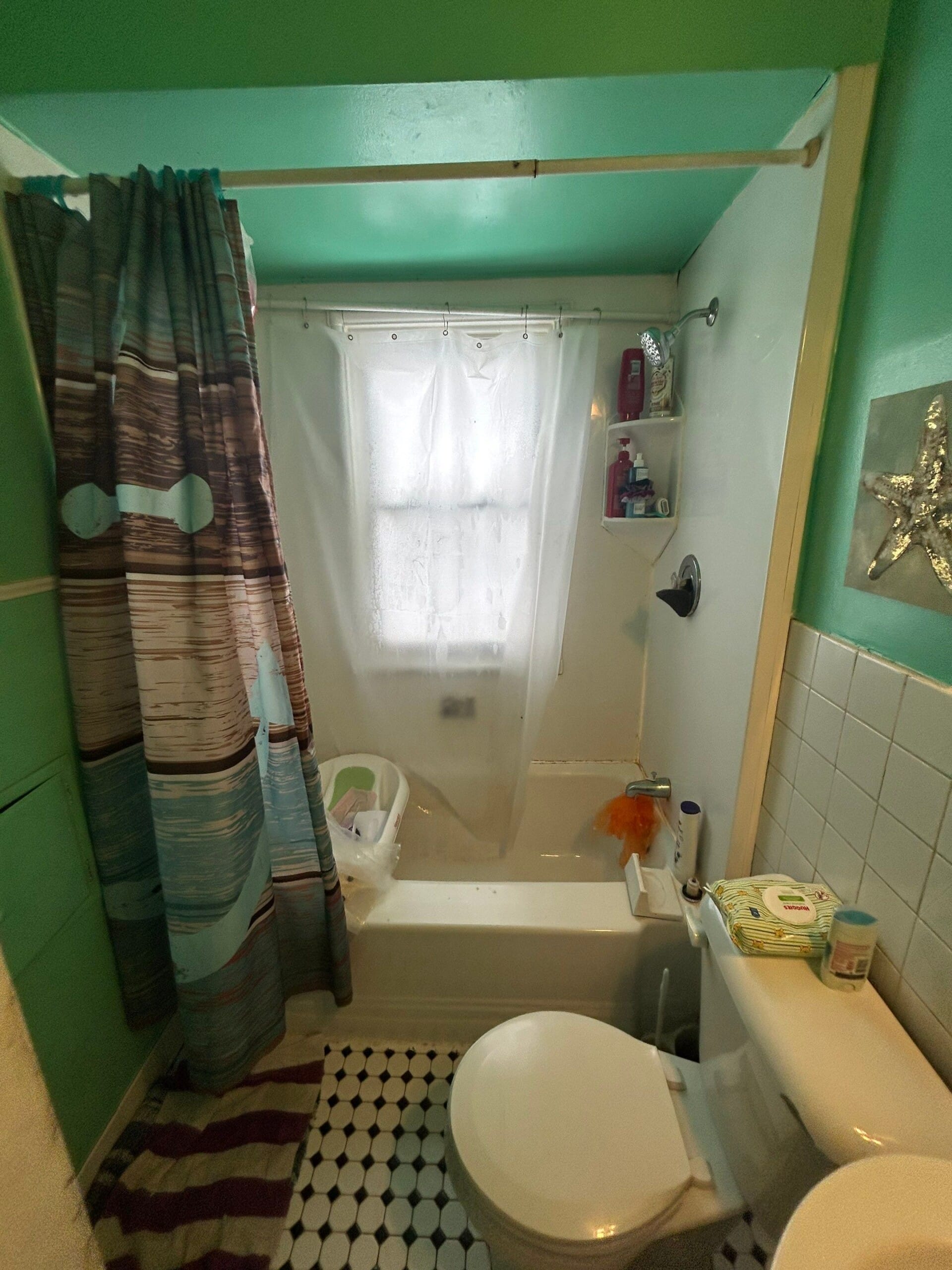 Before Bath Remodel