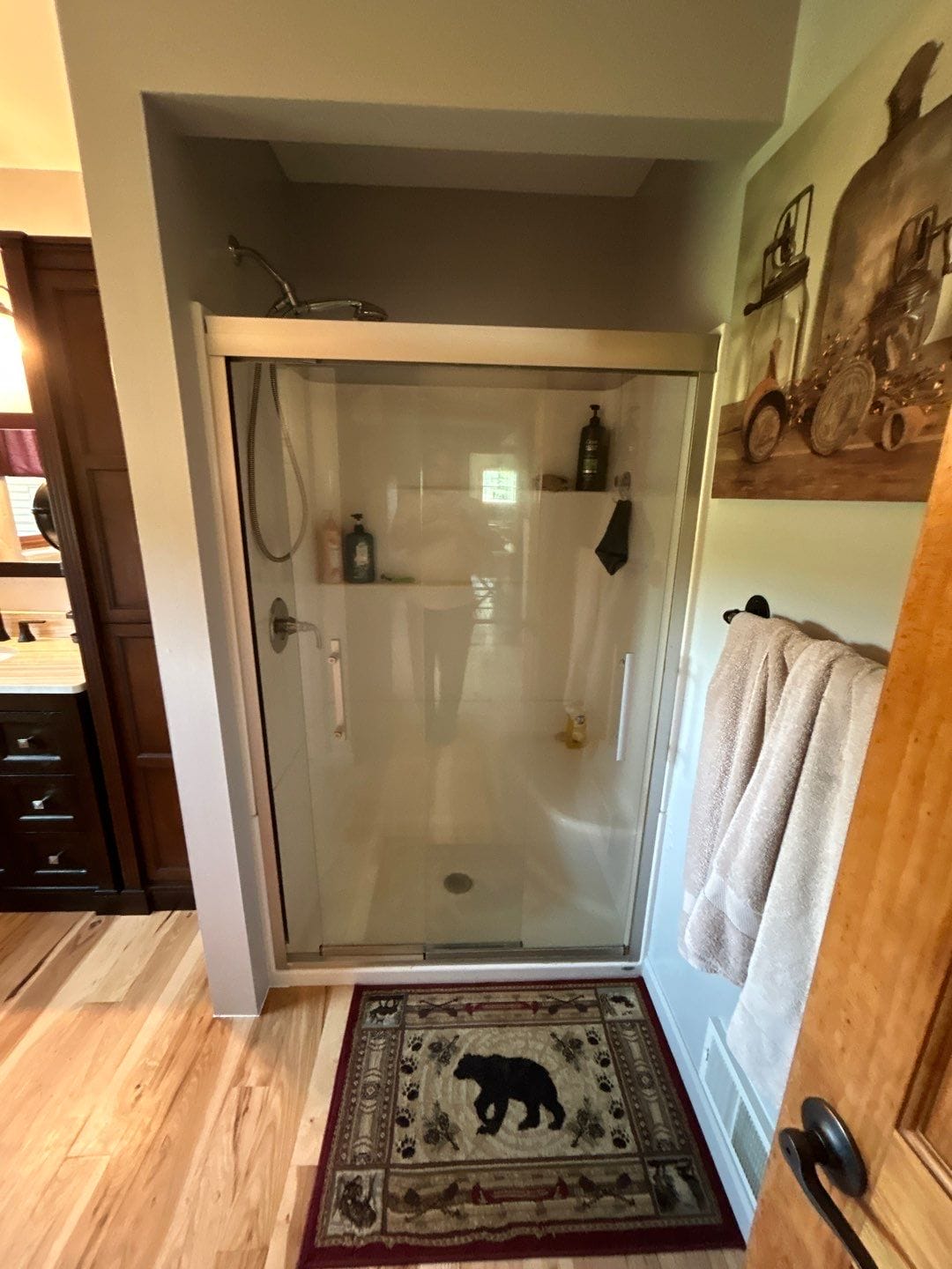 Before Bath Remodel