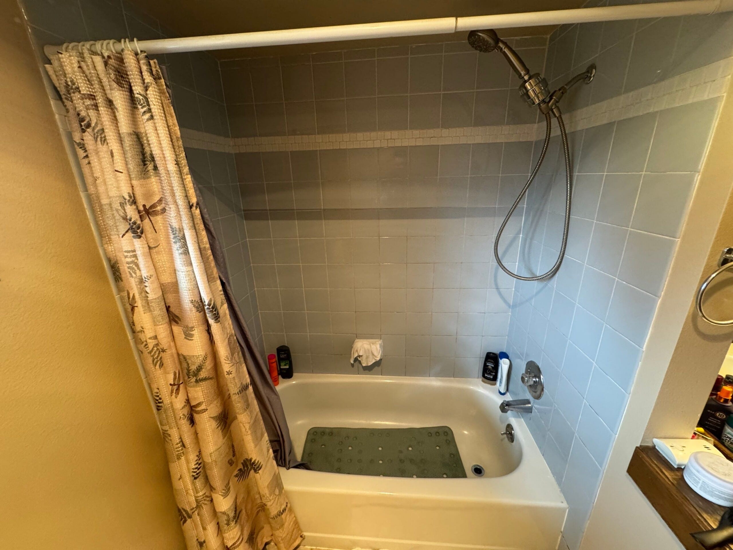 Before Bath Remodel