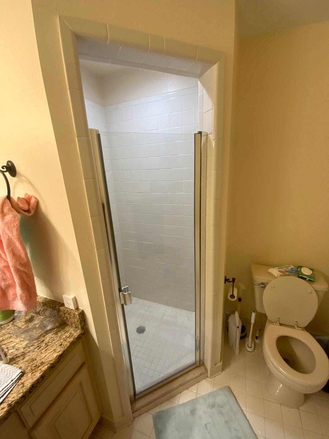 Before Bath Remodel