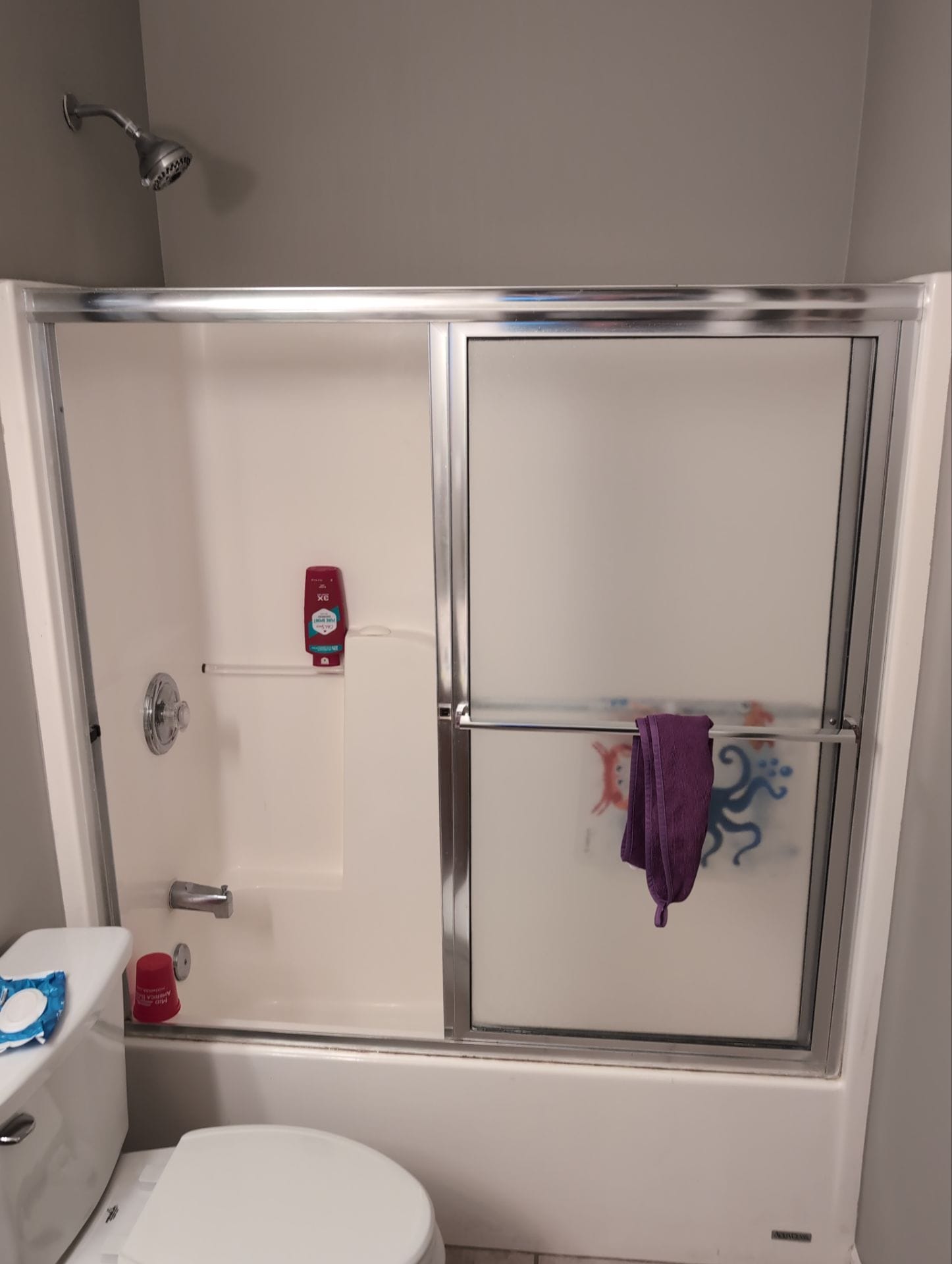 Before Bath Remodel