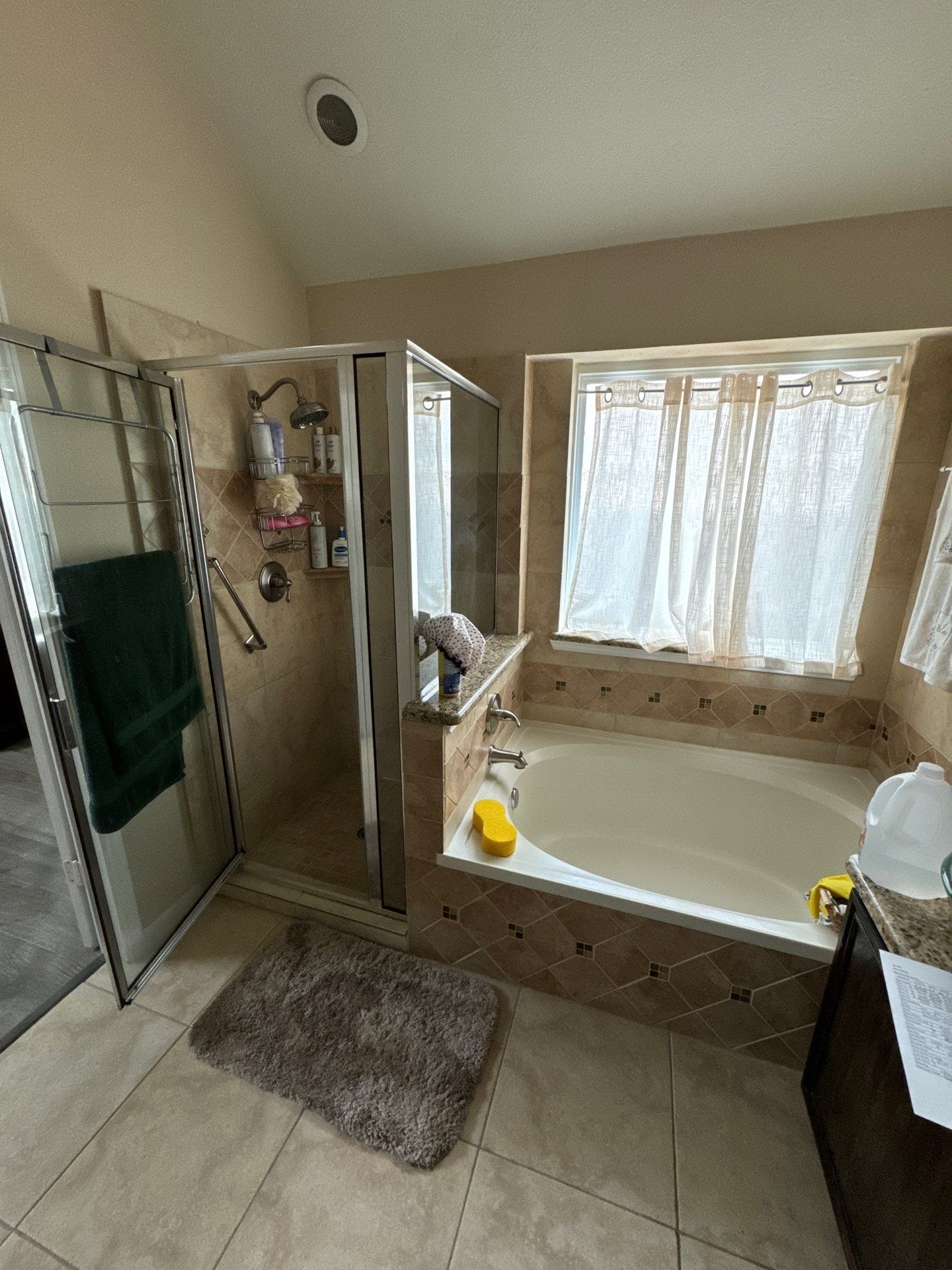 Before Bath Remodel
