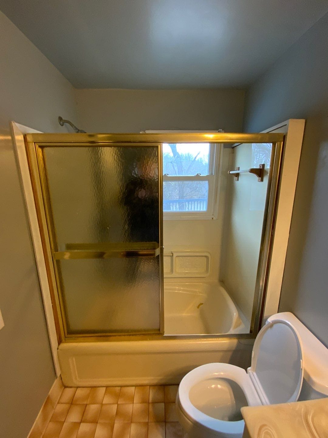 Before Bath Remodel