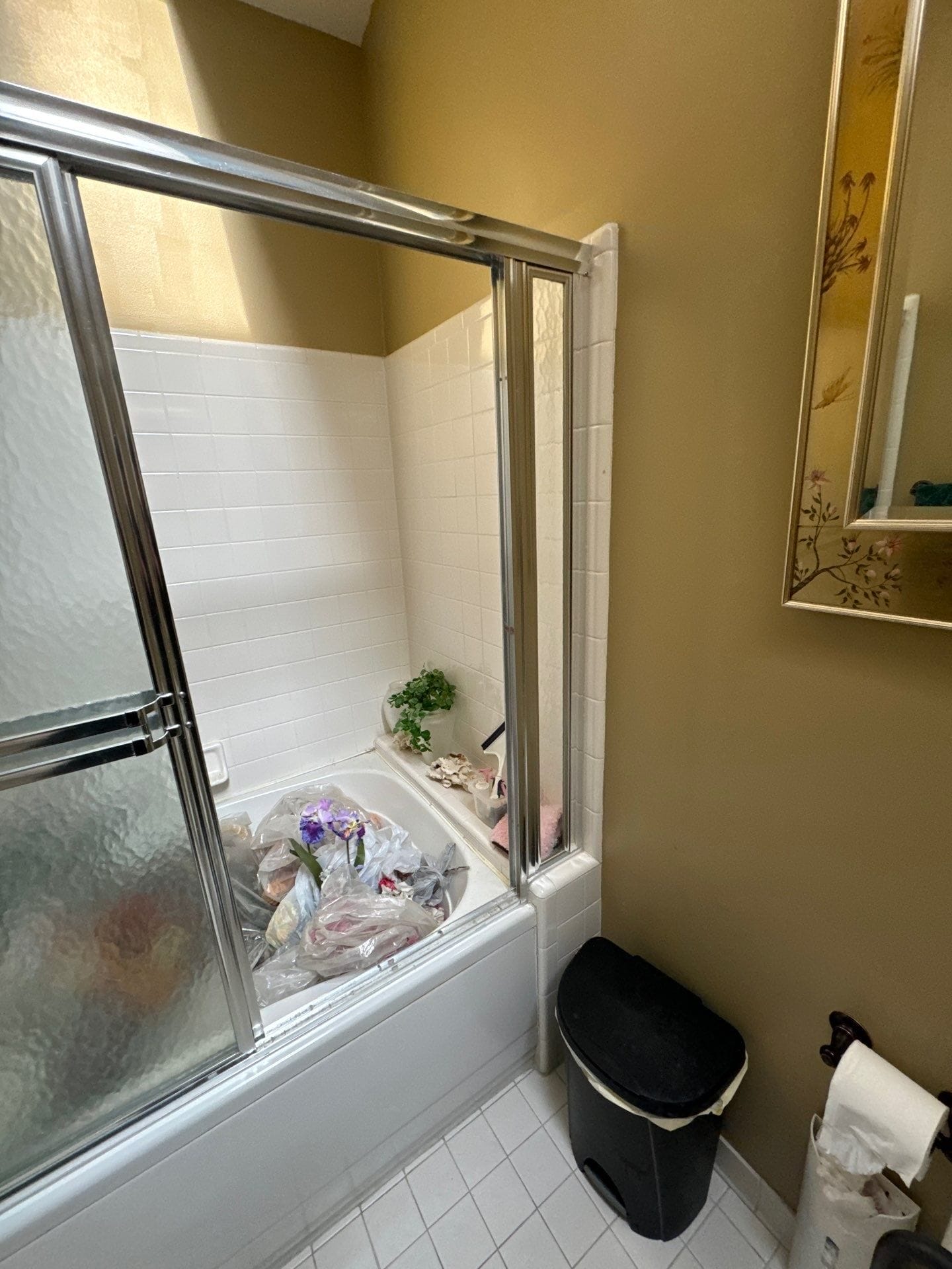 Before Bath Remodel