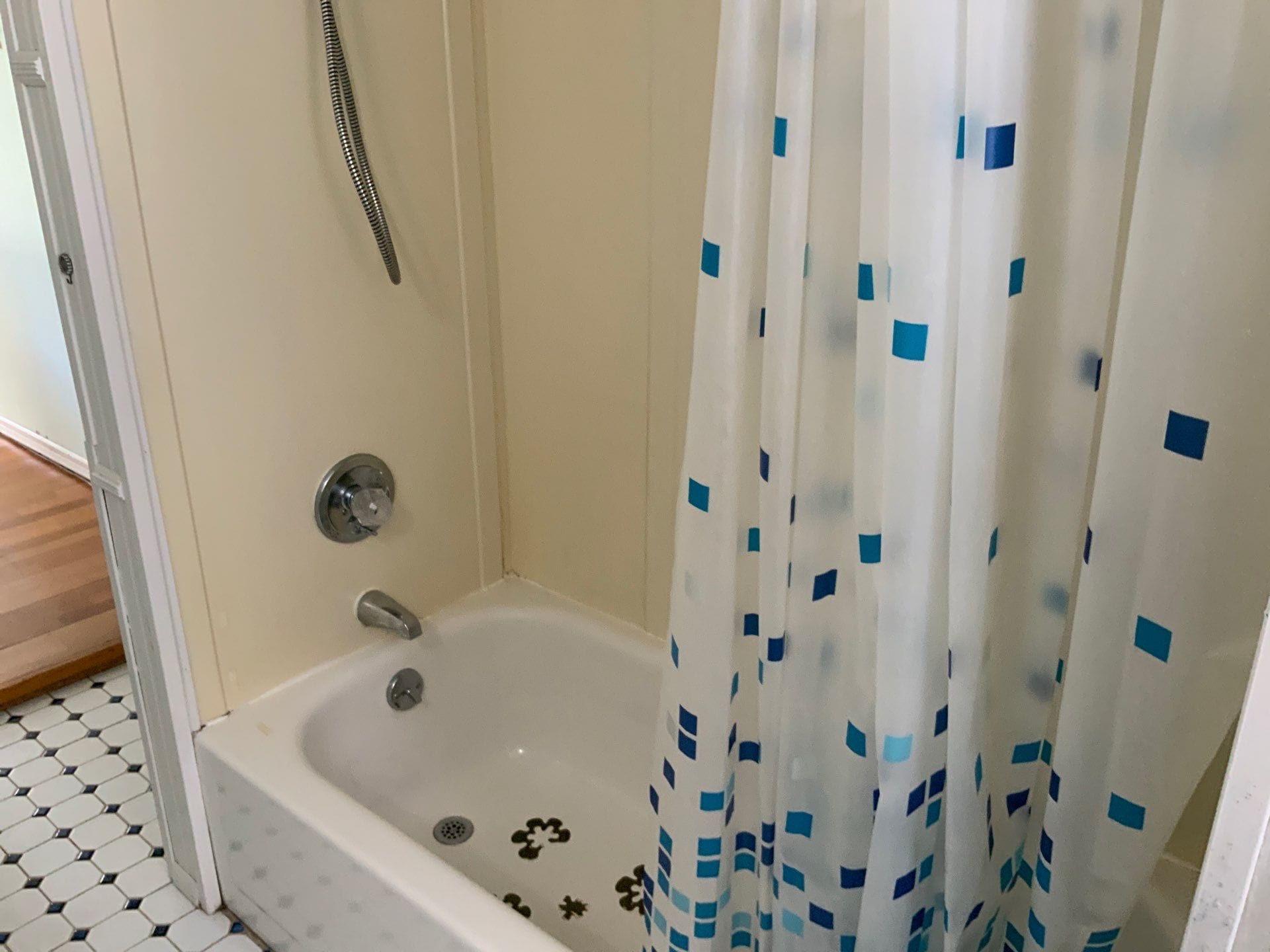 Before Bath Remodel