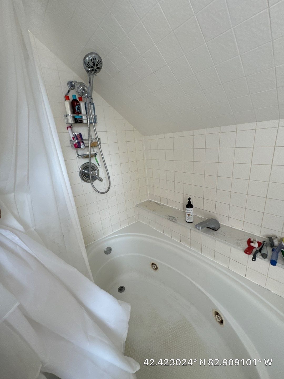 Before Bath Remodel