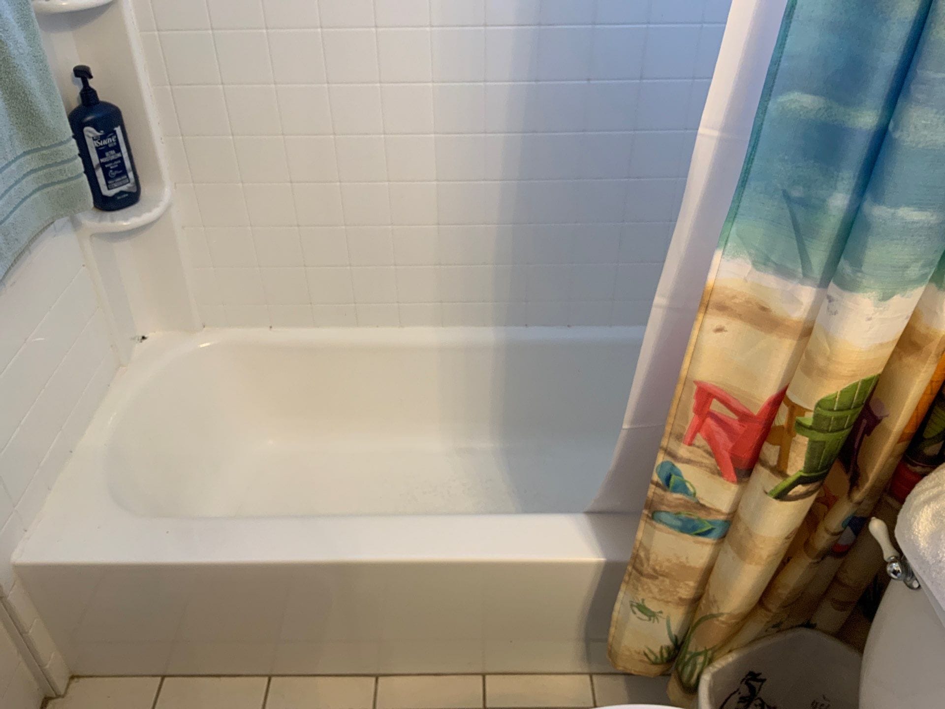 Before Bath Remodel