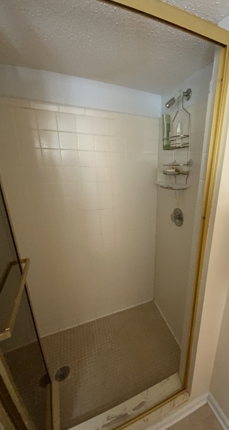 Before Bath Remodel