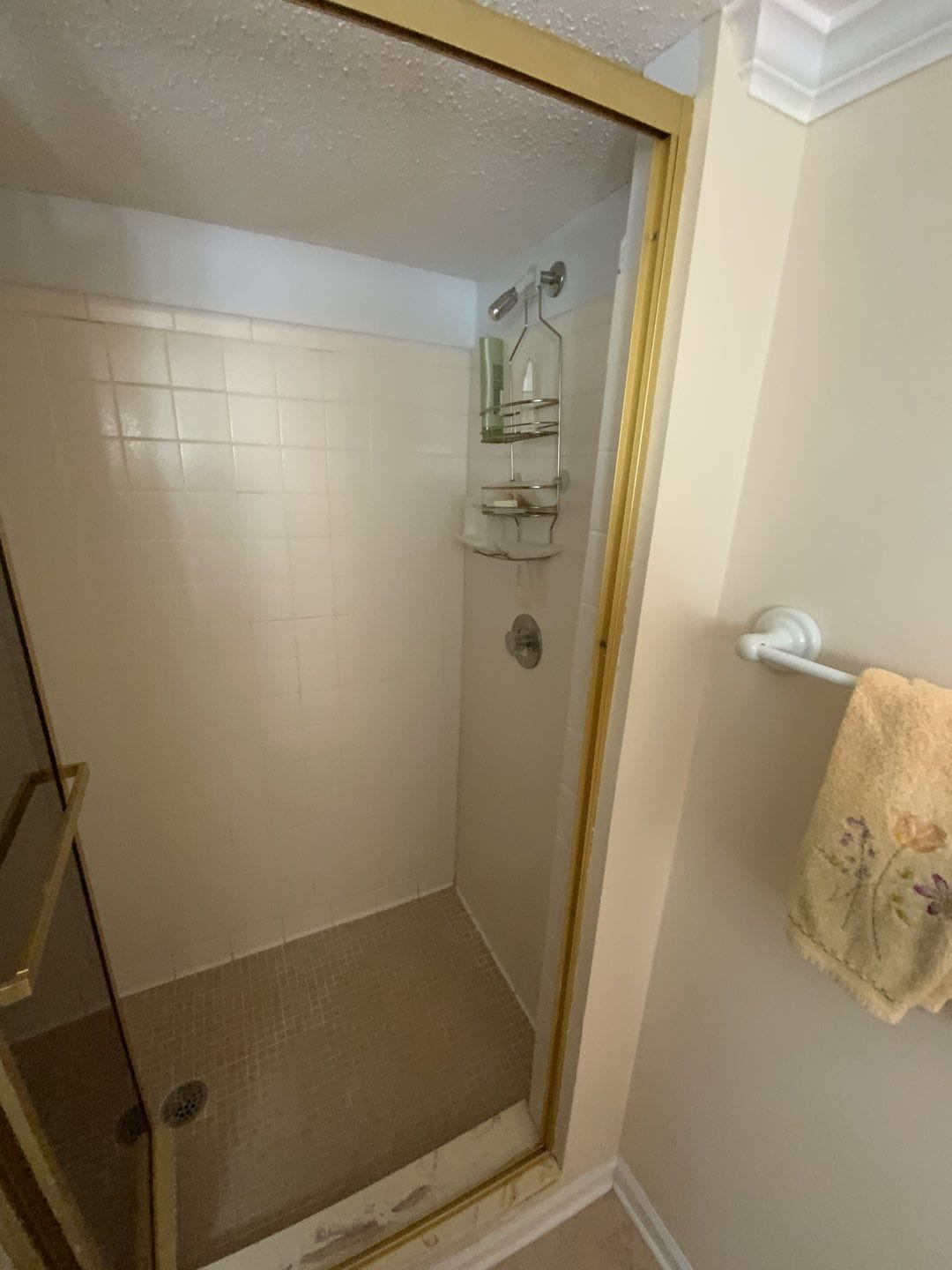Before Bath Remodel