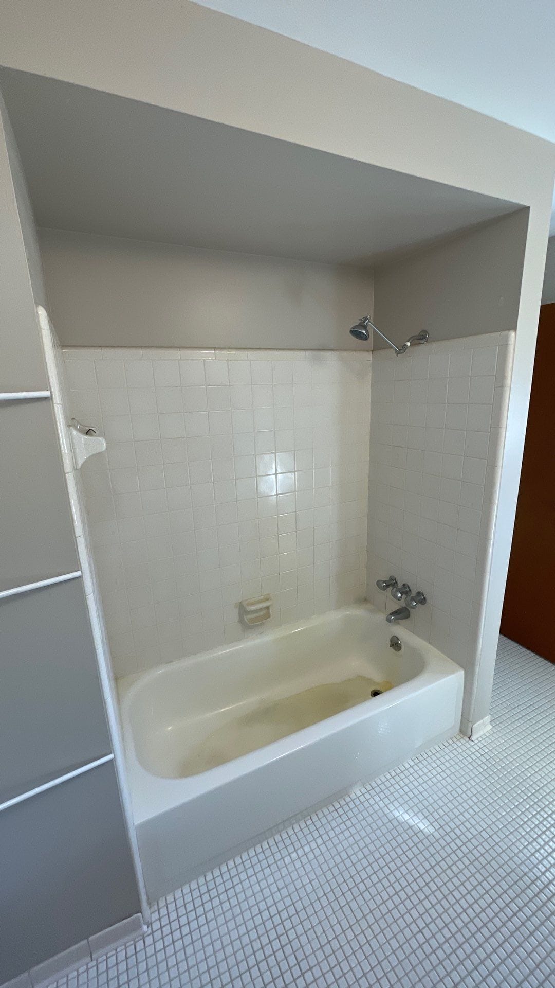 Before Bath Remodel