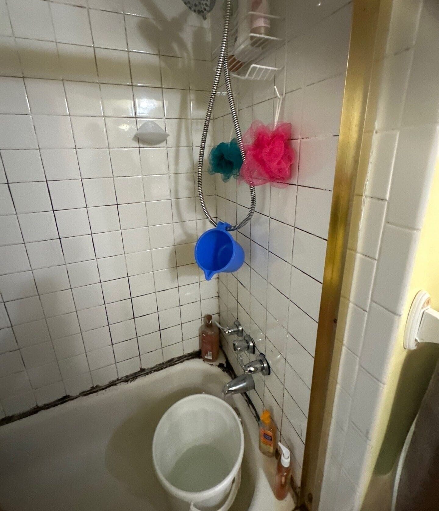 Before Bath Remodel
