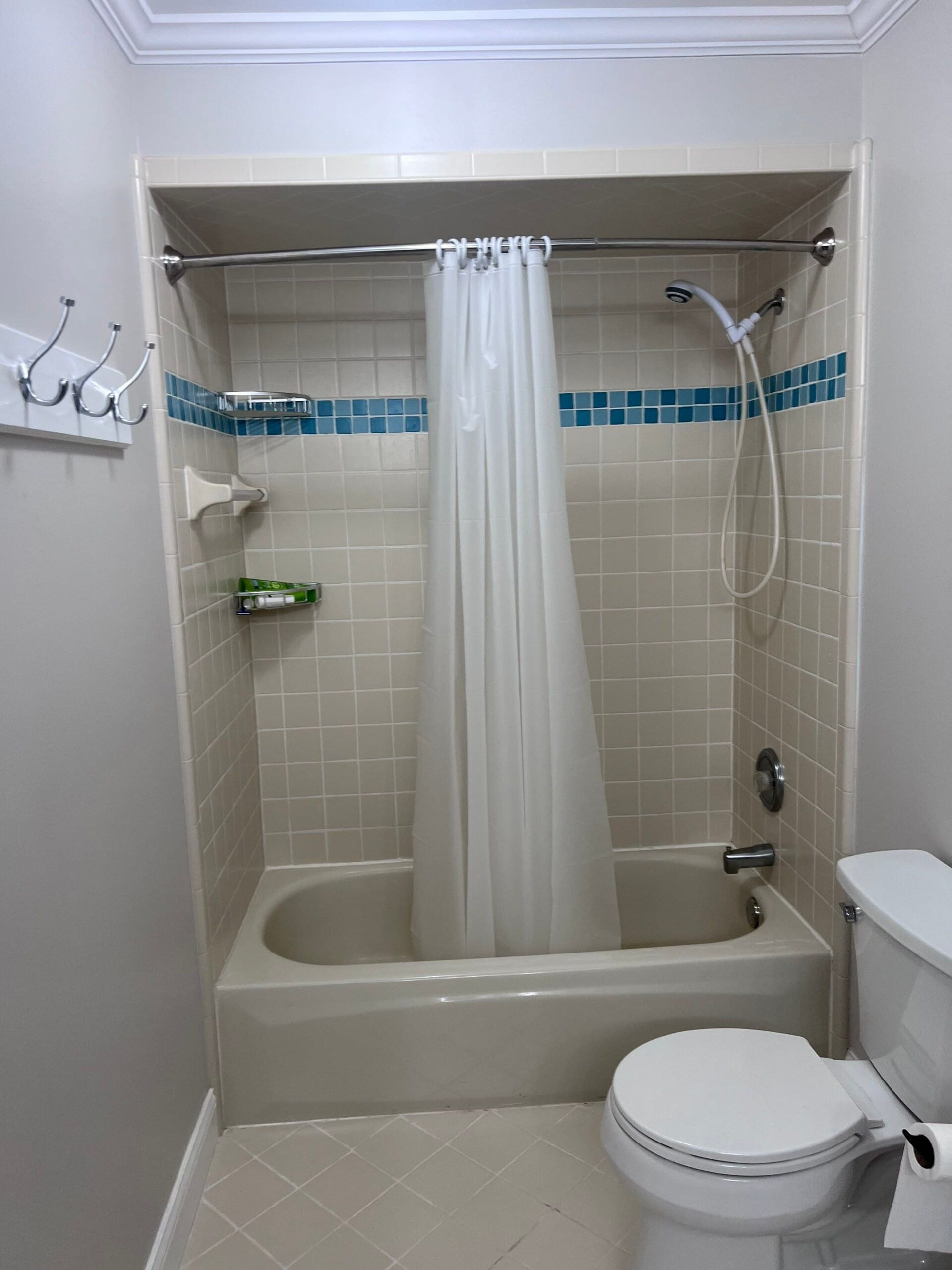 Before Bath Remodel