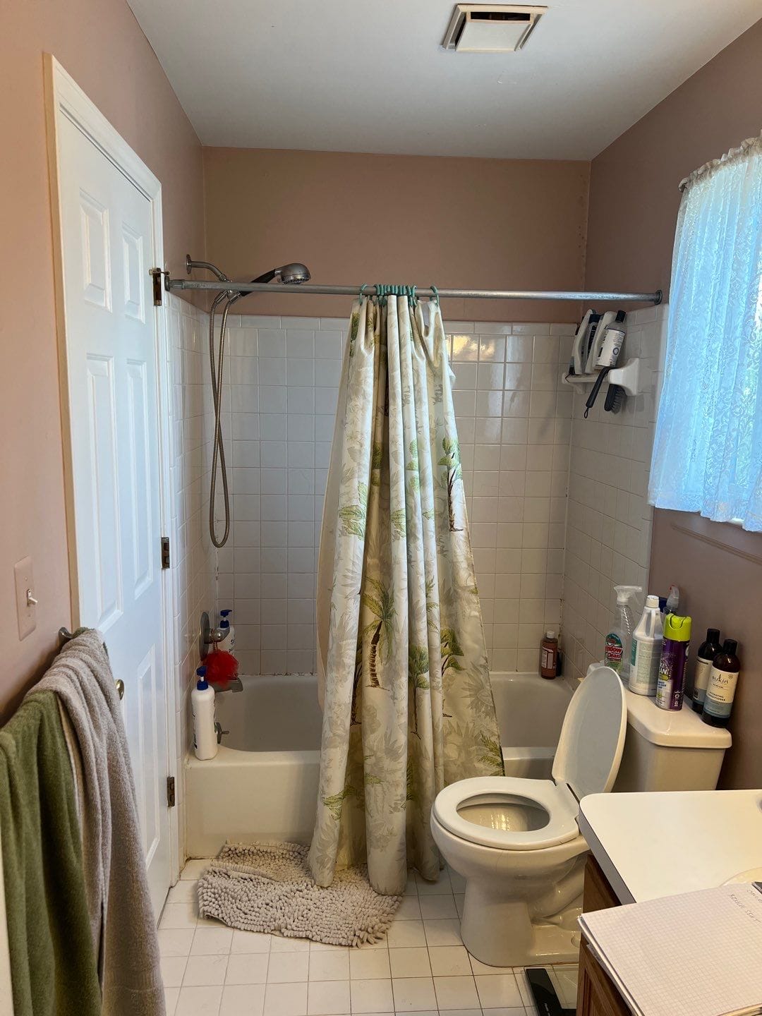 Before Bath Remodel
