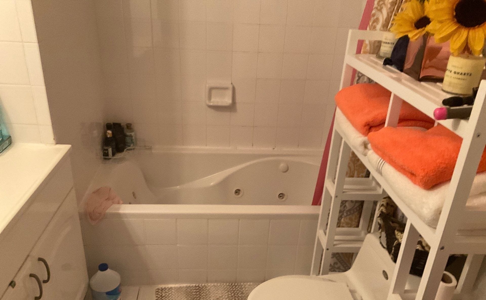 Before Bath Remodel