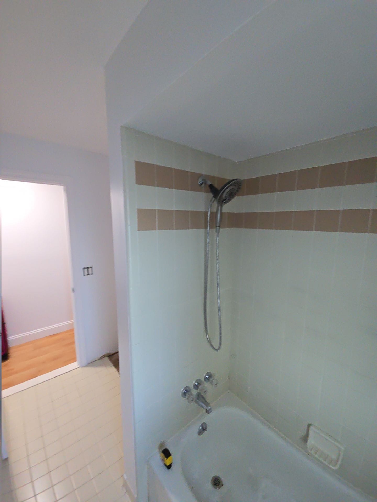 Before Bath Remodel