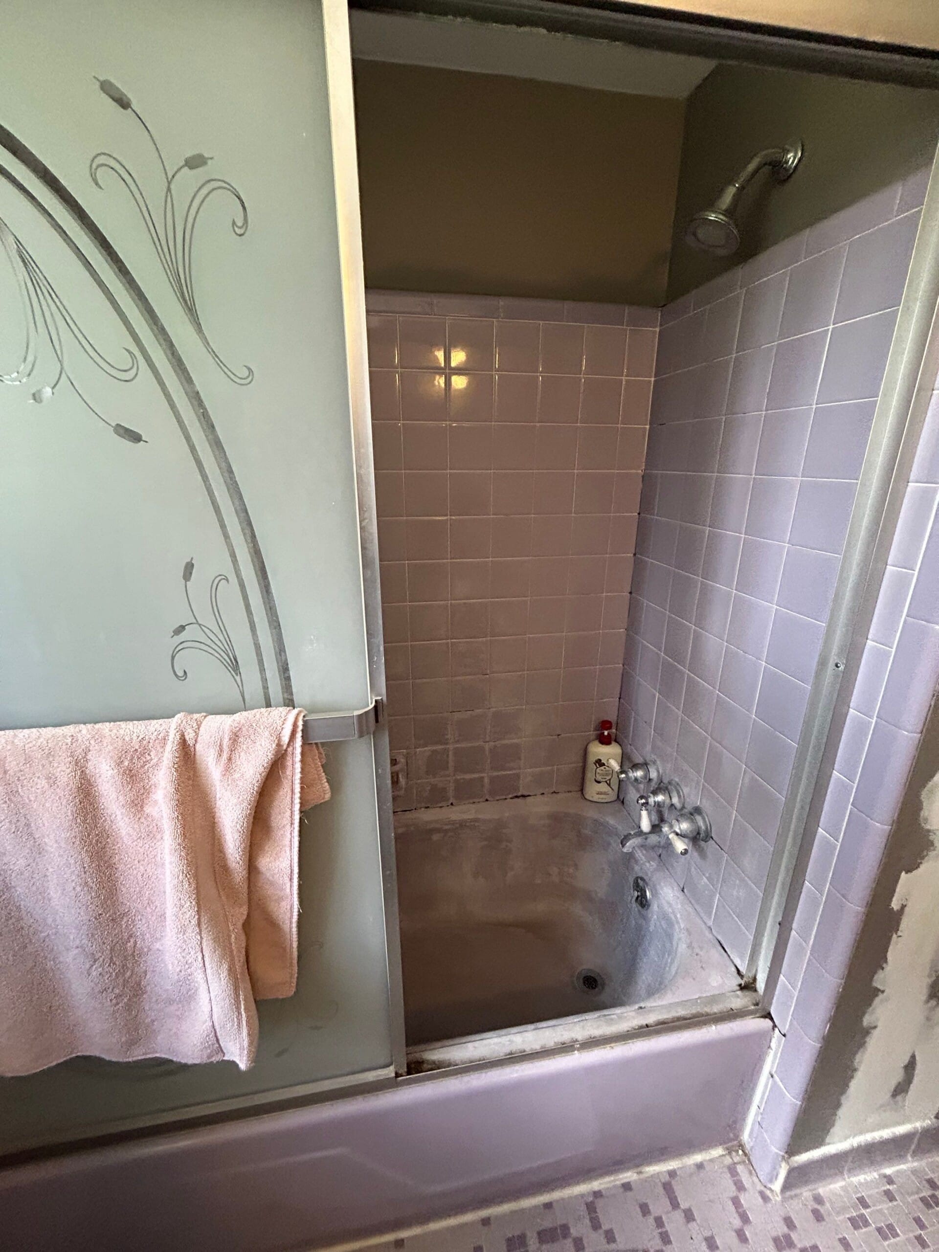 Before Bath Remodel