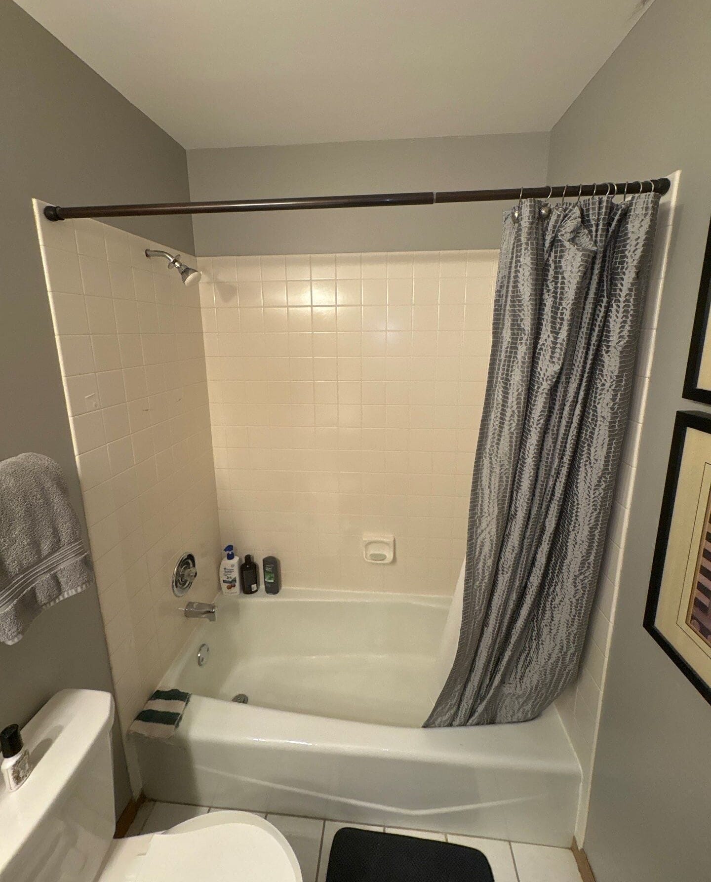 Before Bath Remodel
