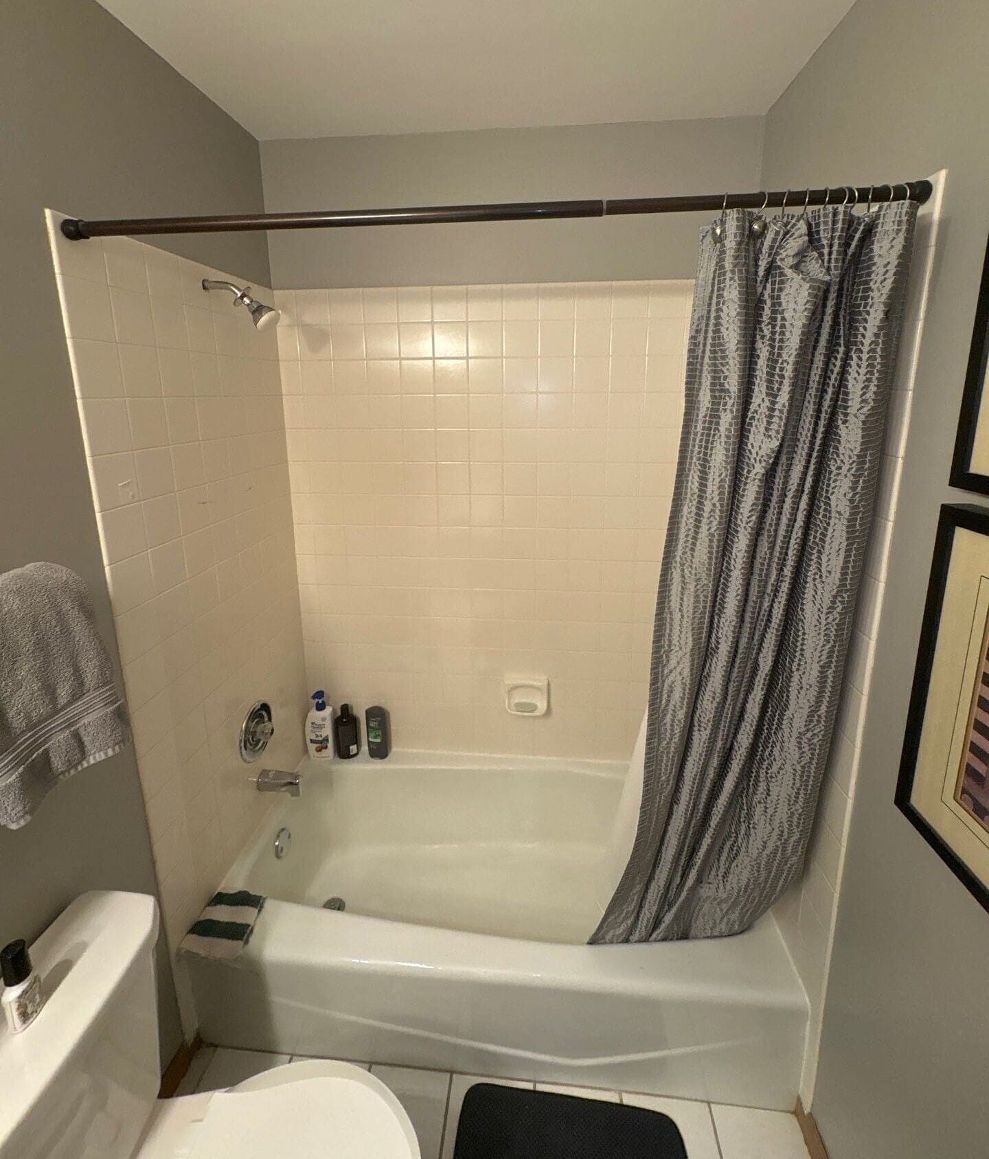 Before Bath Remodel