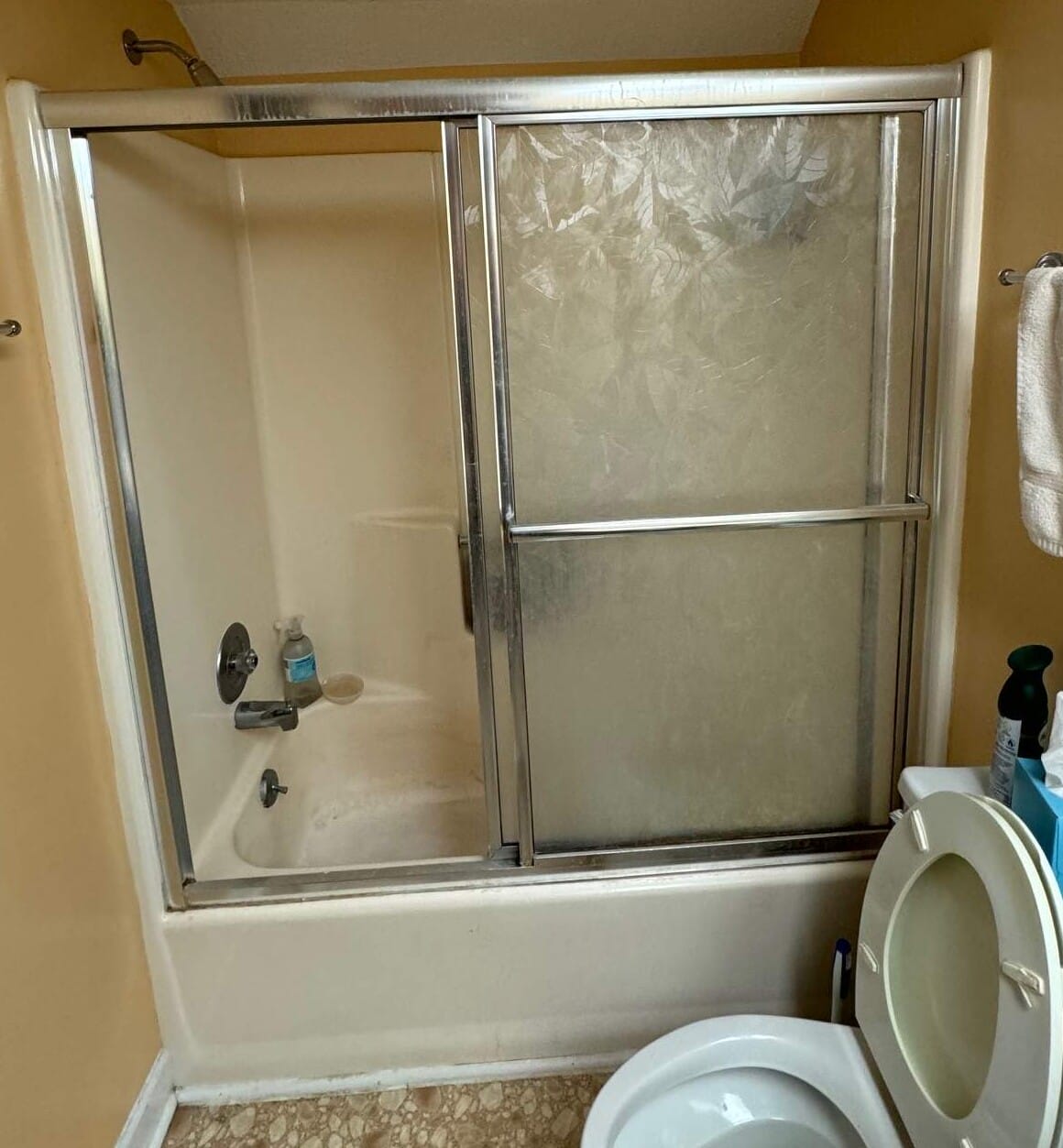 Before Bath Remodel