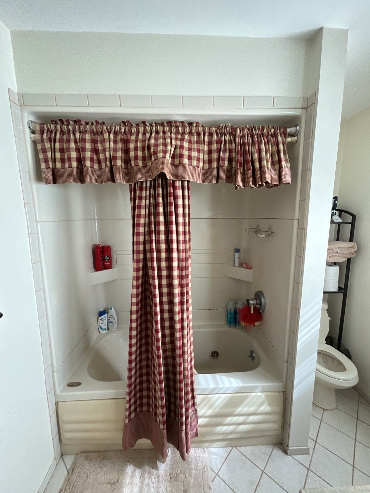 Before Bath Remodel