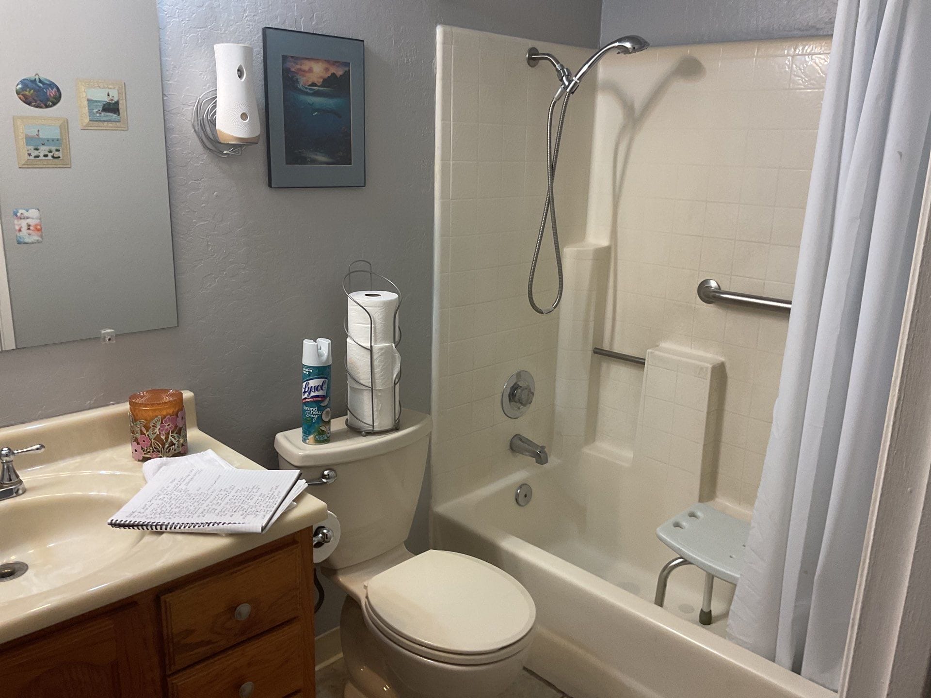 Before Bath Remodel