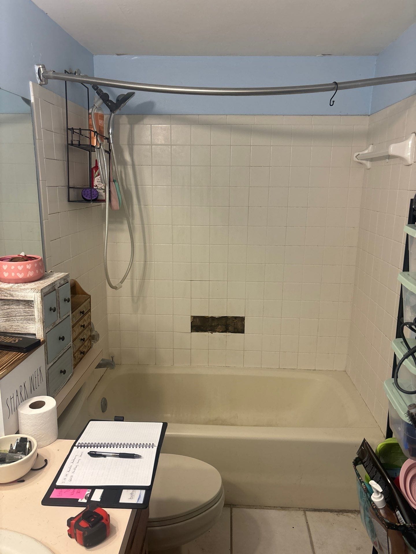 Before Bath Remodel