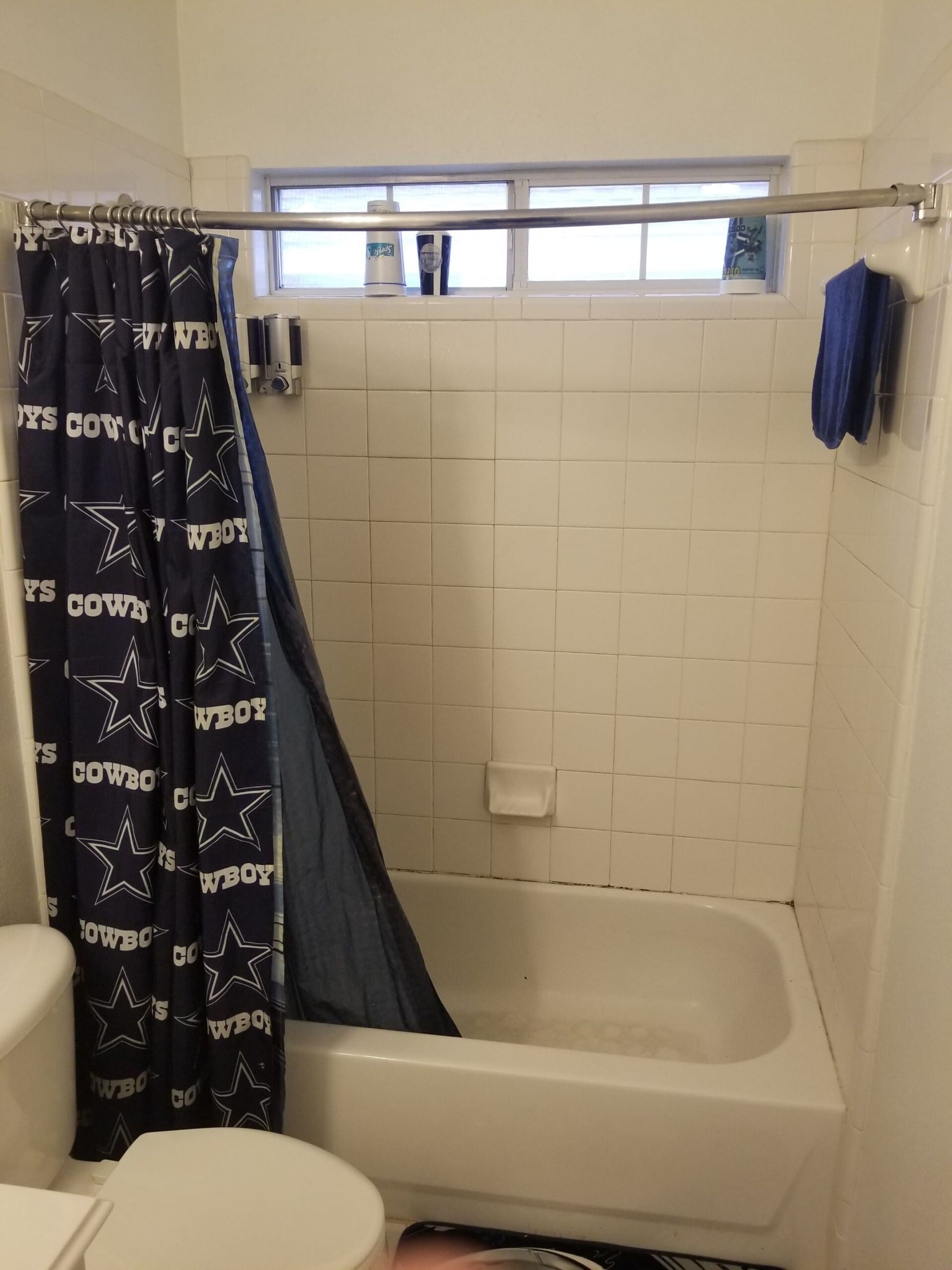 Before Bath Remodel