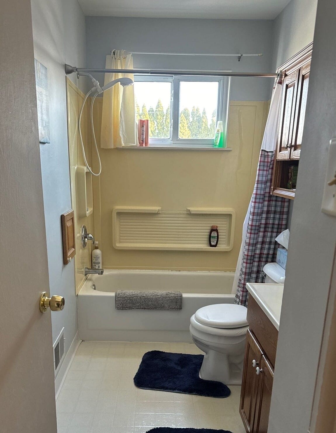 Before Bath Remodel
