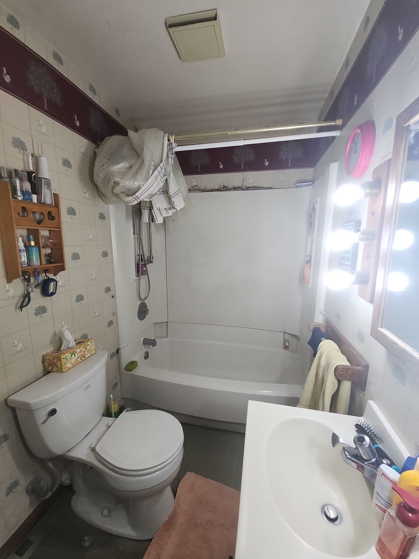 Before Bath Remodel
