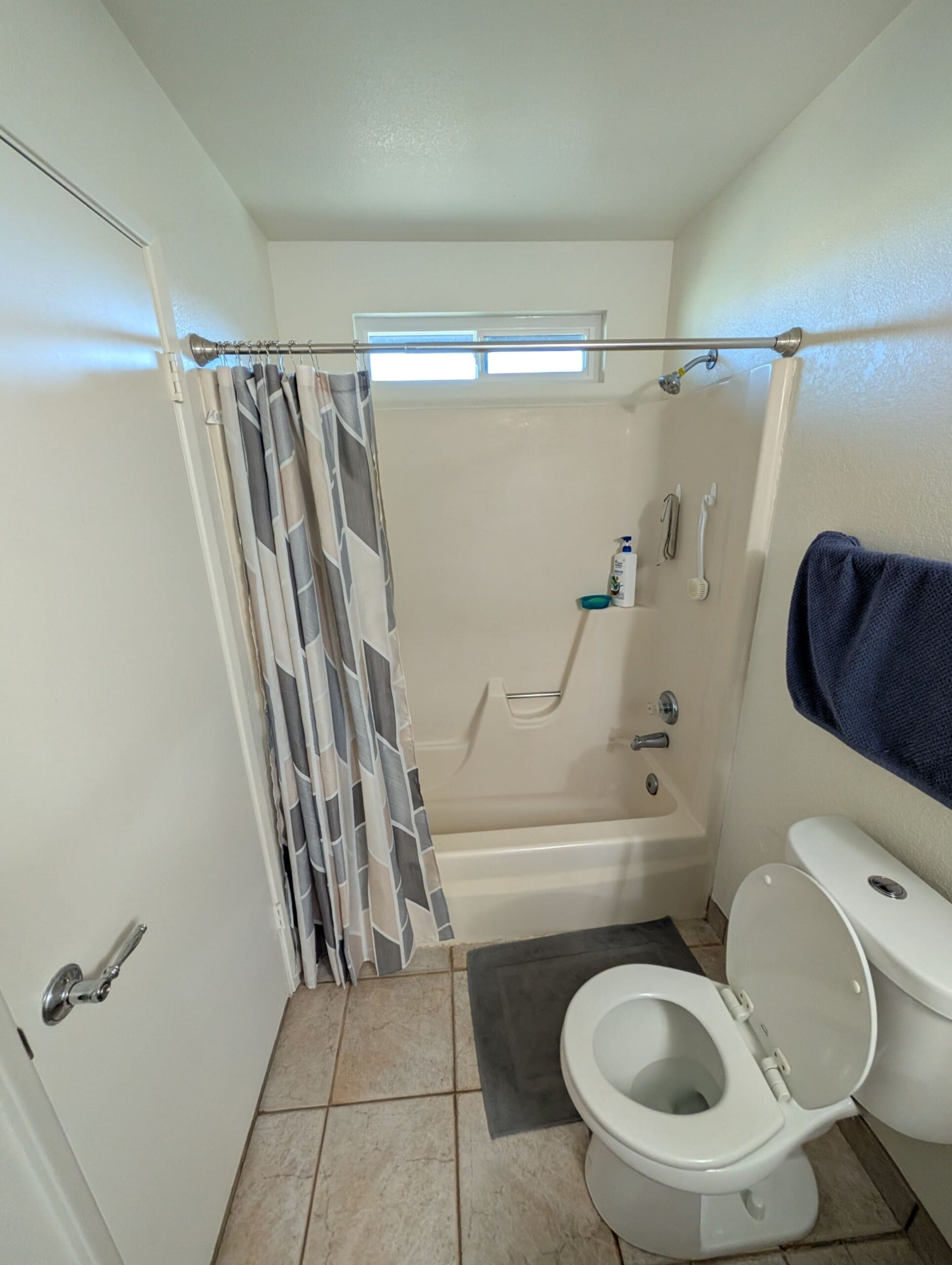 Before Bath Remodel
