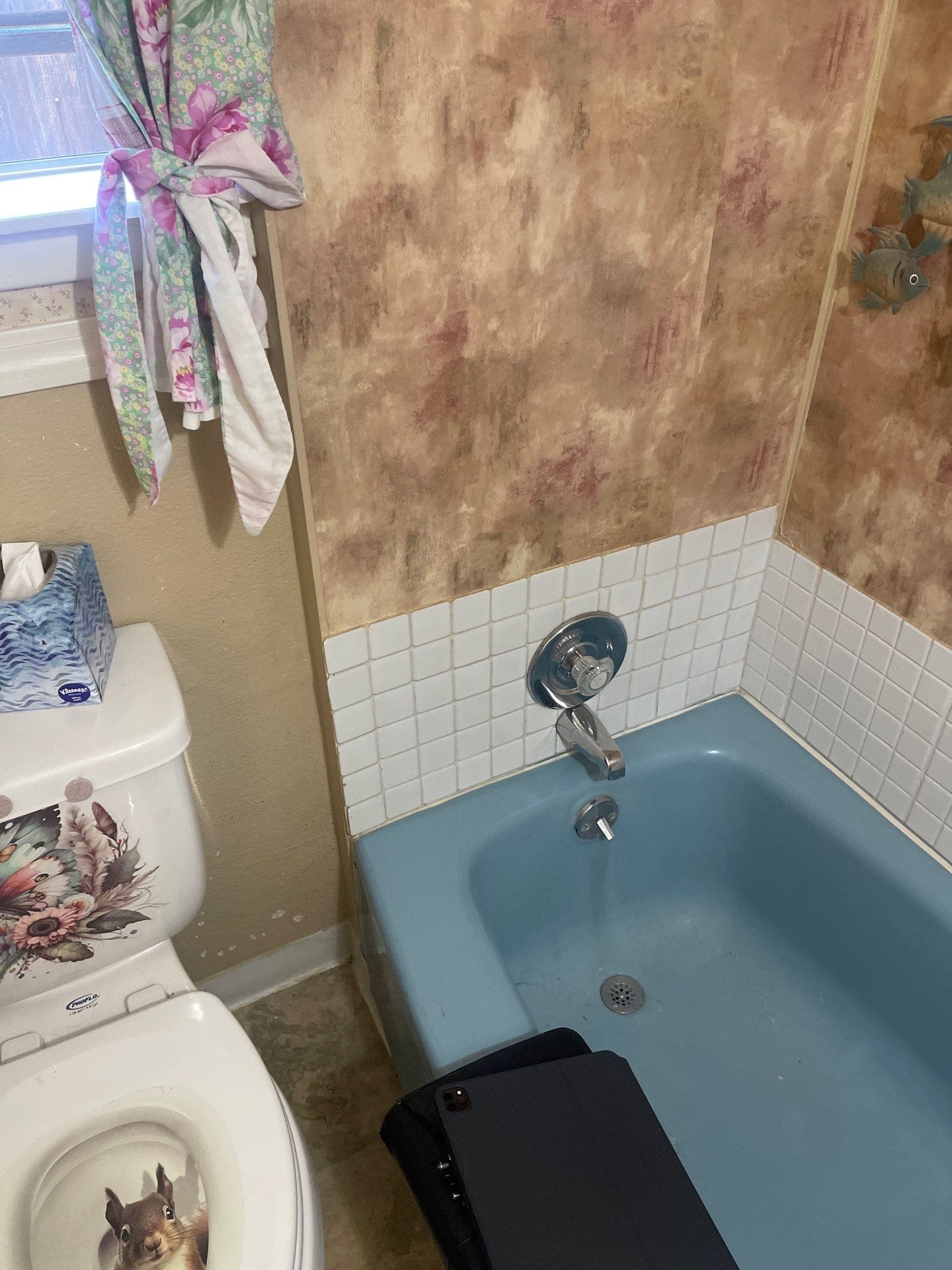 Before Bath Remodel