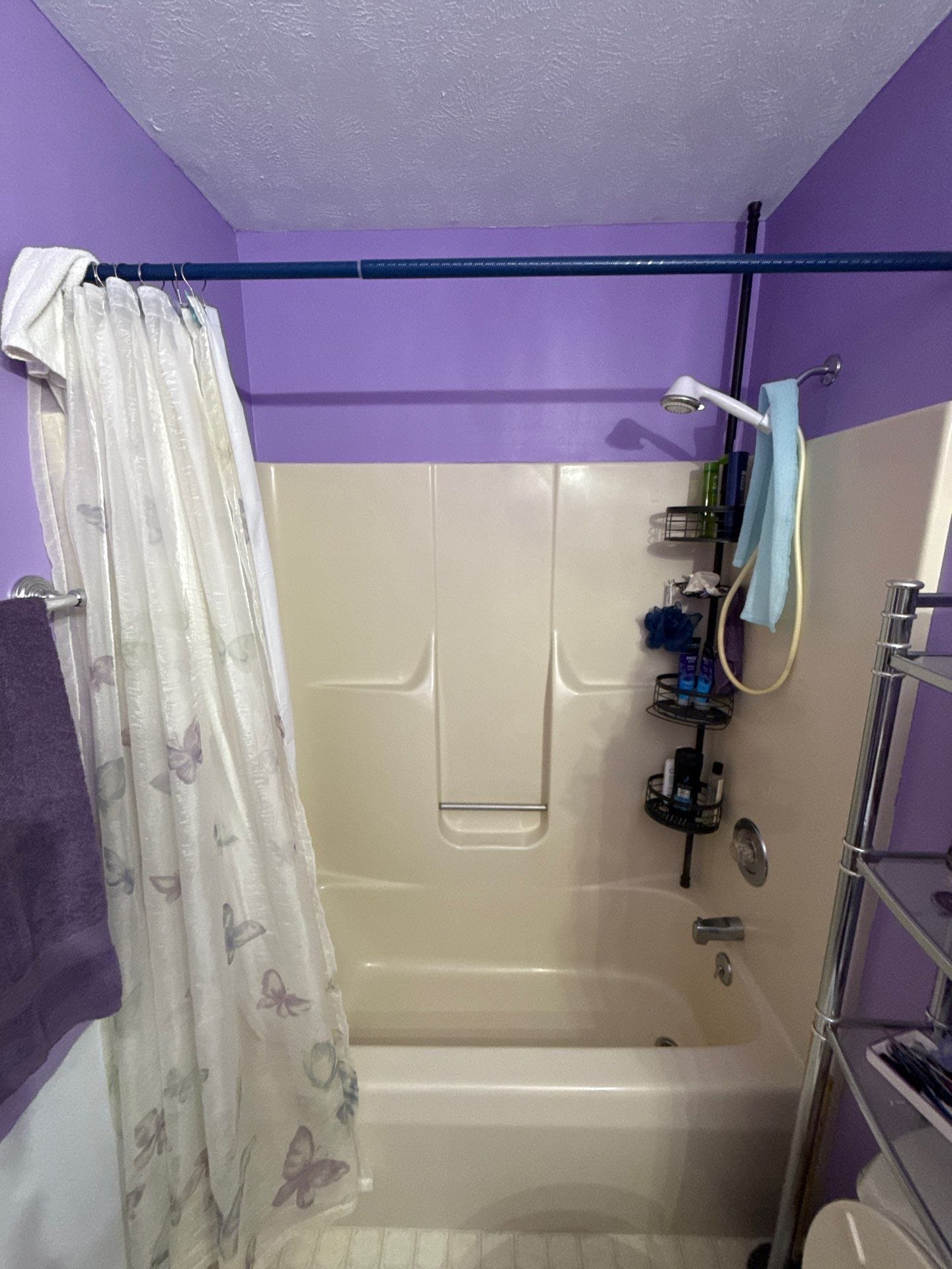 Before Bath Remodel