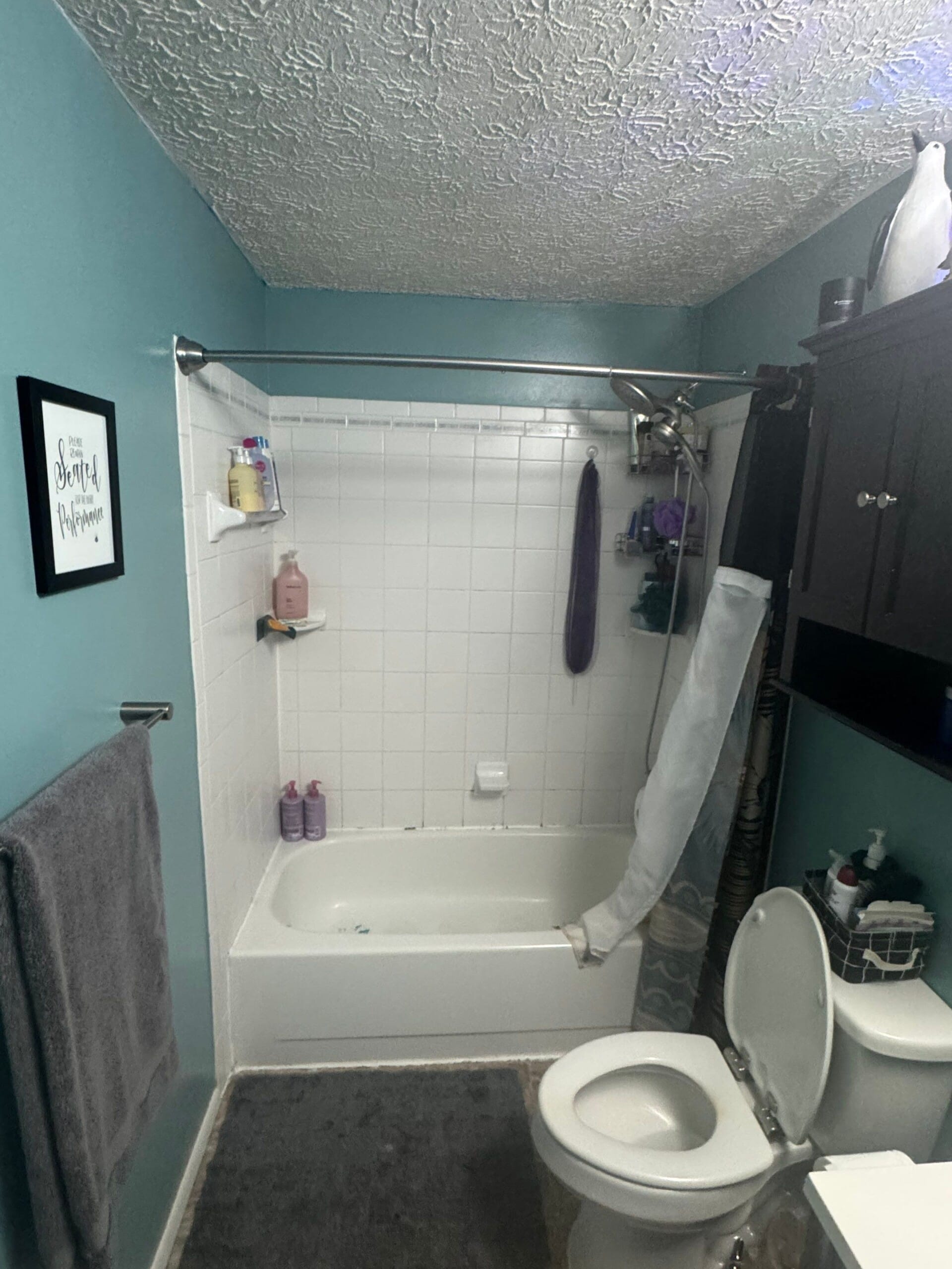 Before Bath Remodel