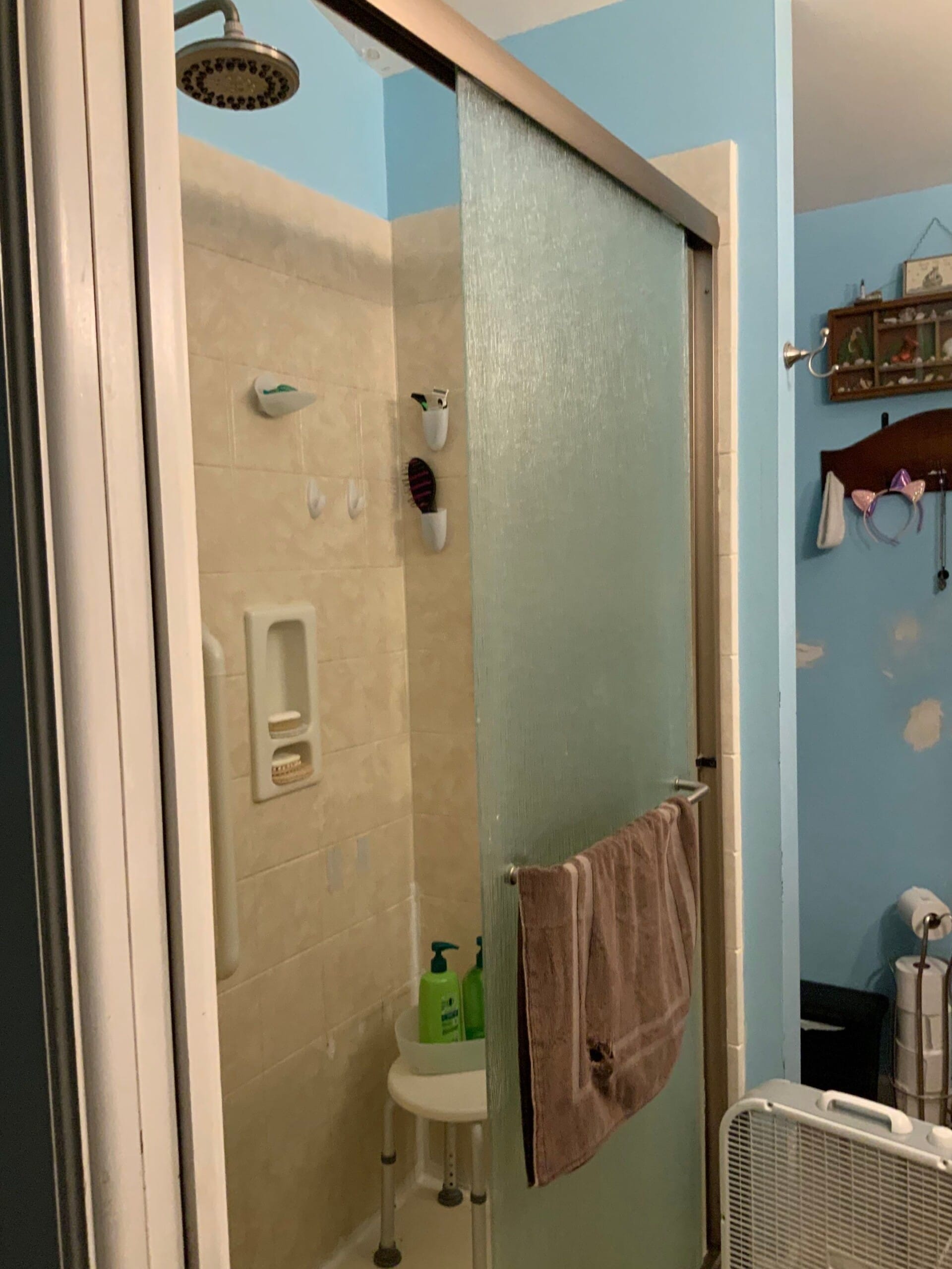 Before Bath Remodel