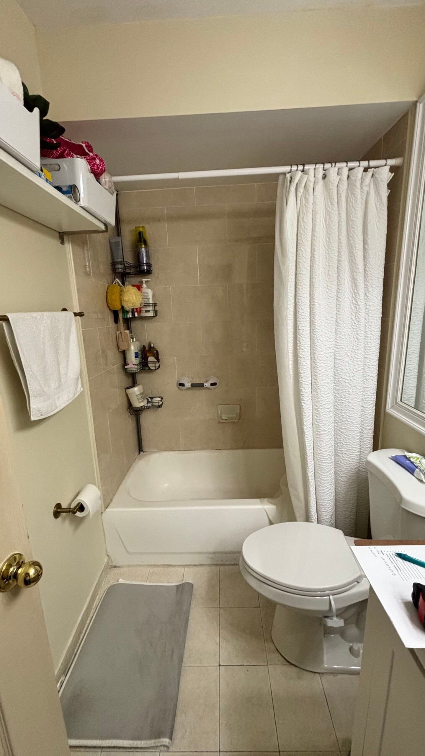 Before Bath Remodel