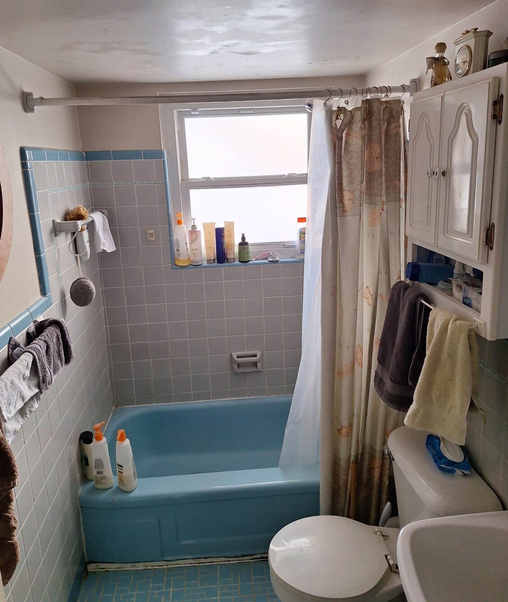 Before Bath Remodel